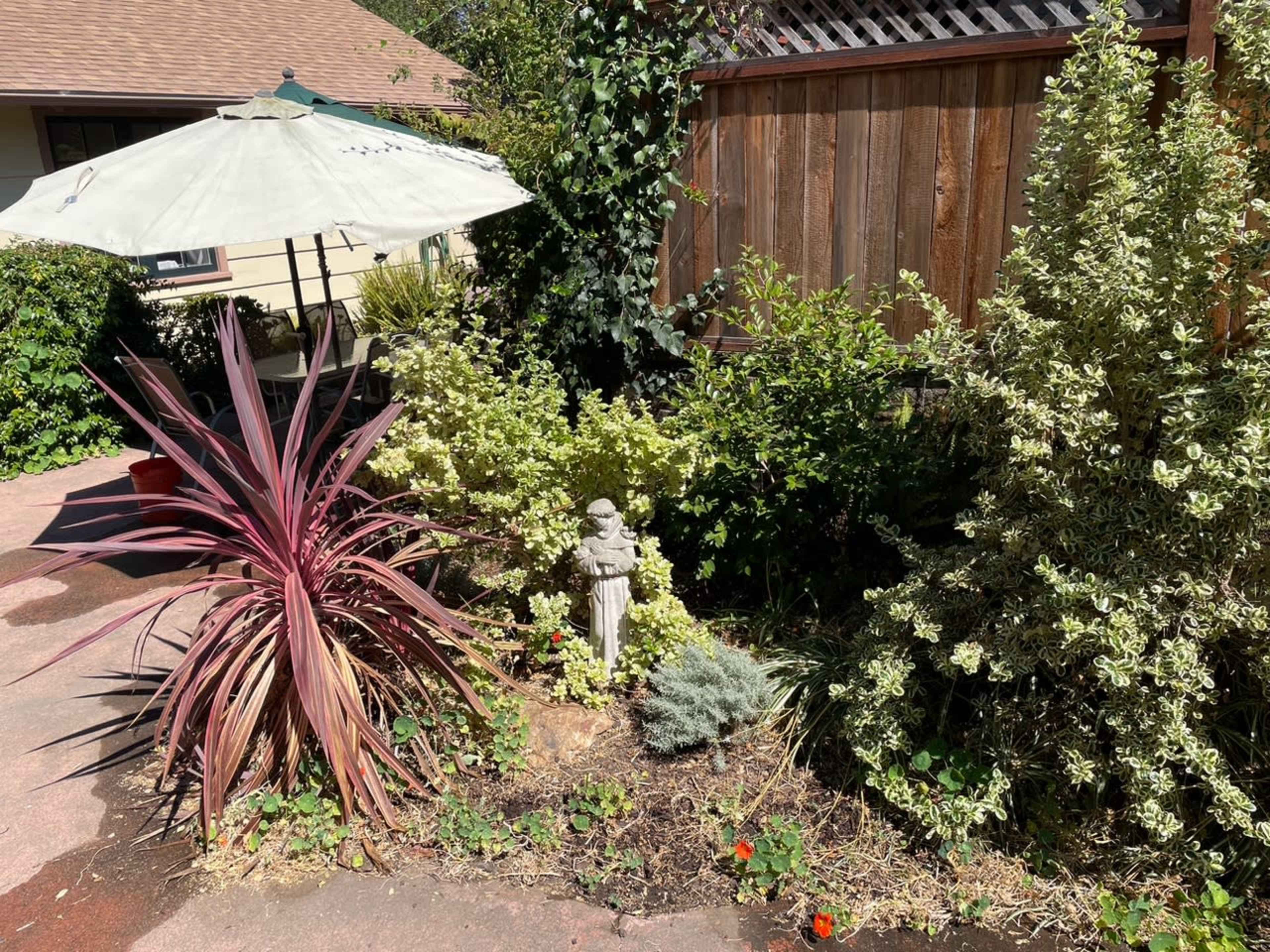 Sunny Courtyard Garden Space Image in Alameda, Alameda, CA