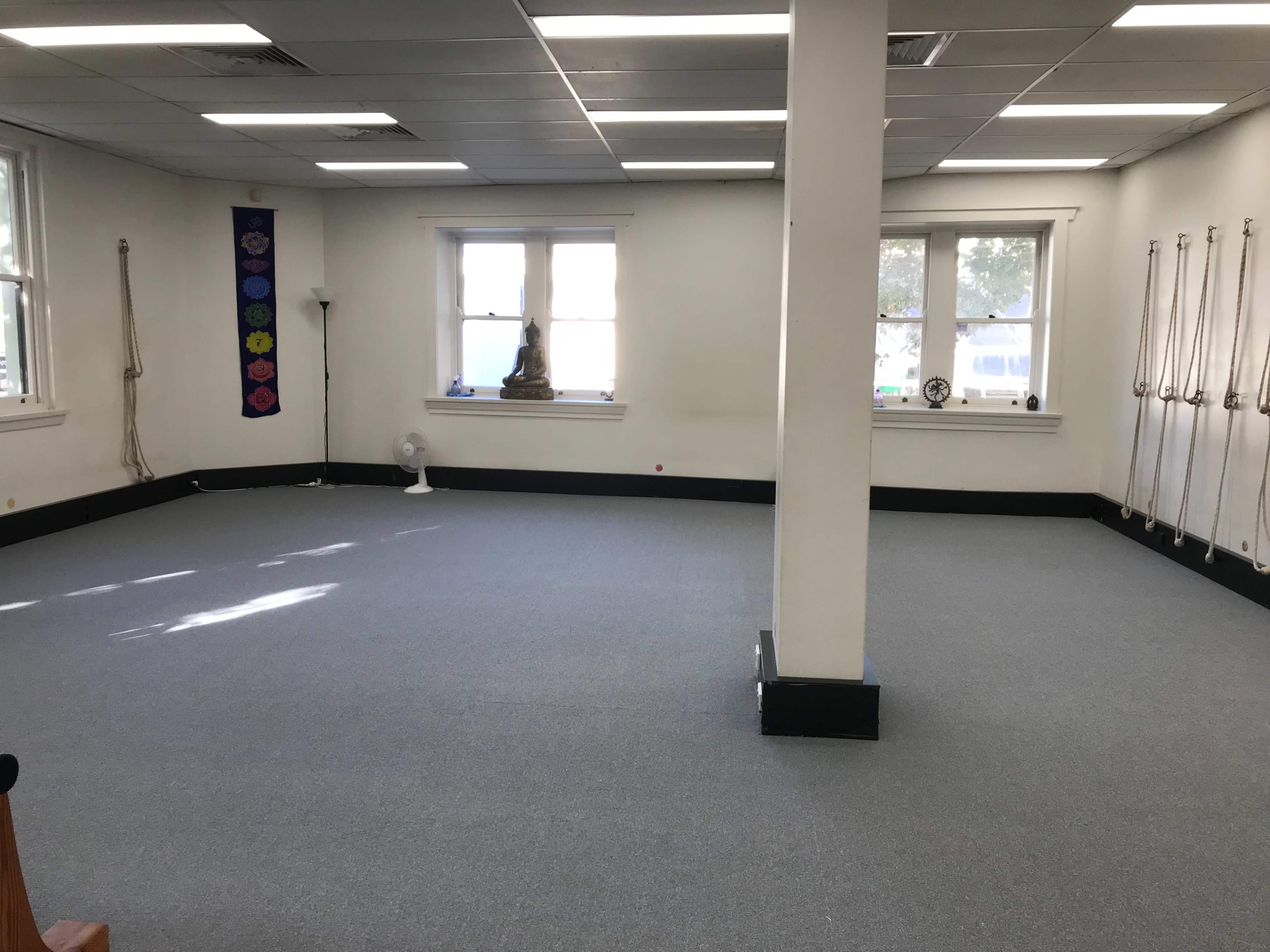 An empty room with gray carpeting, two windows, a fan, a statue, and wall-mounted ropes.