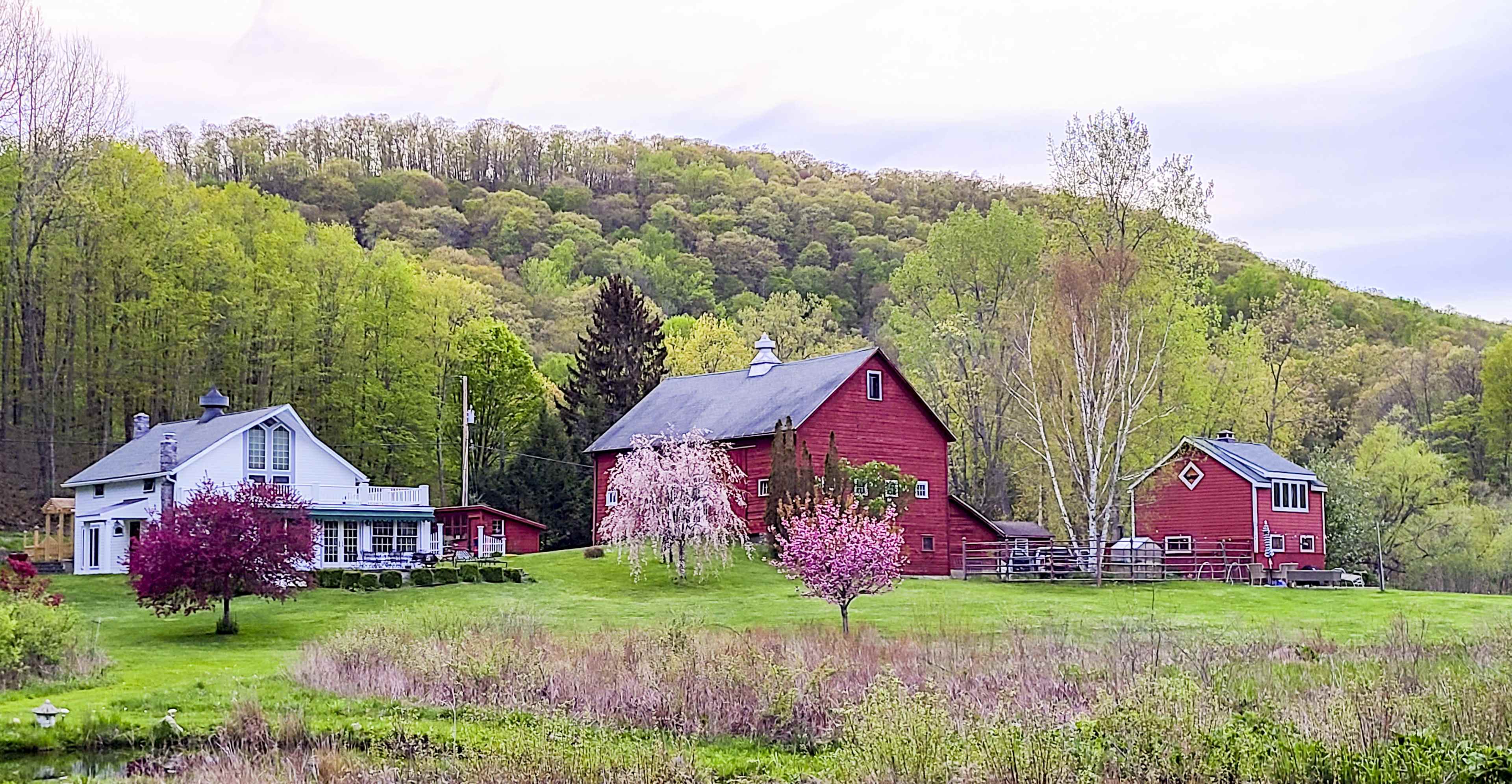 A red barn and several houses surrounded by lush green trees and blooming pink flowers in a rural landscape.