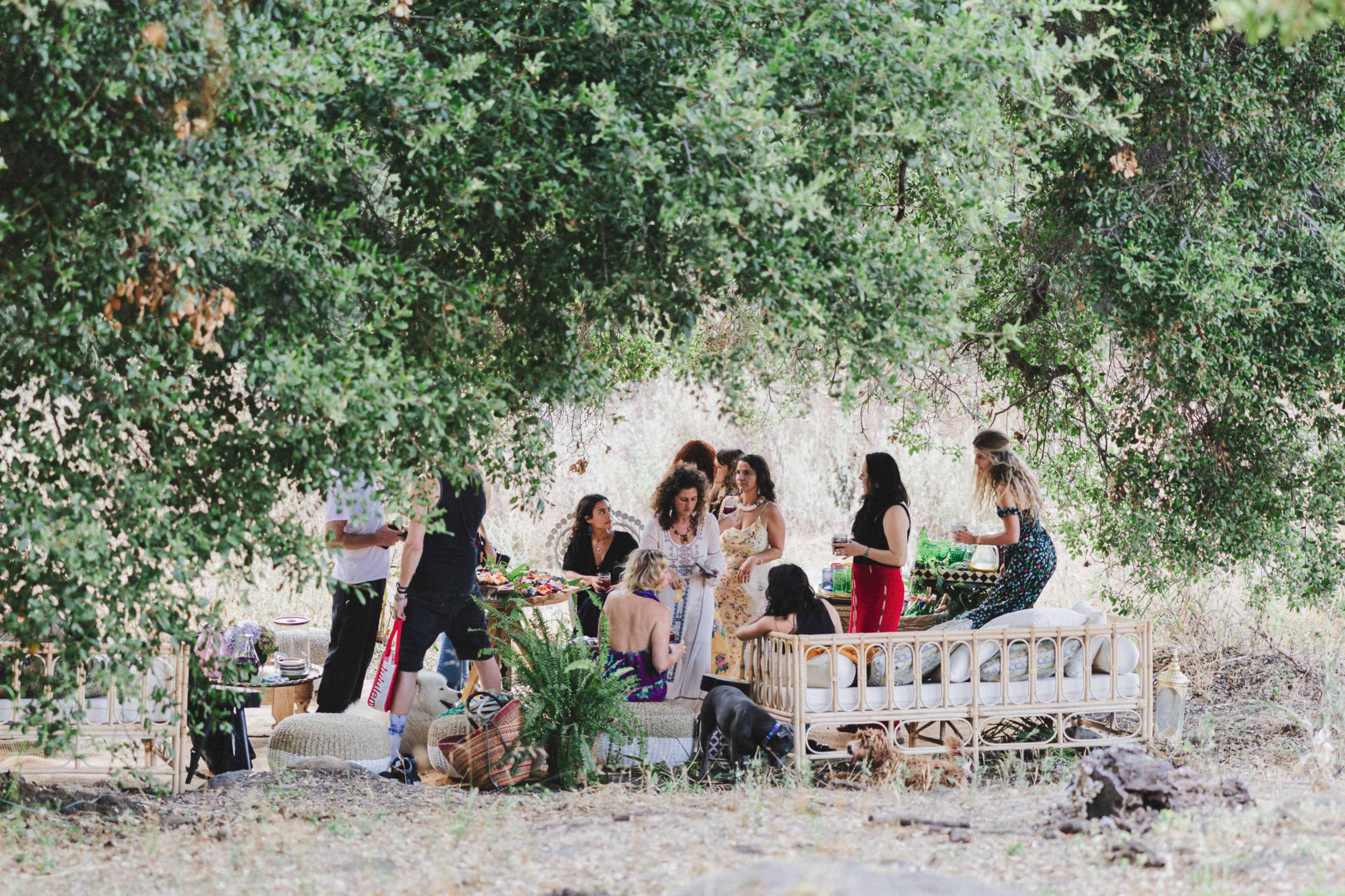 A group of people gathers under large trees for a picnic, surrounded by food and decorations.