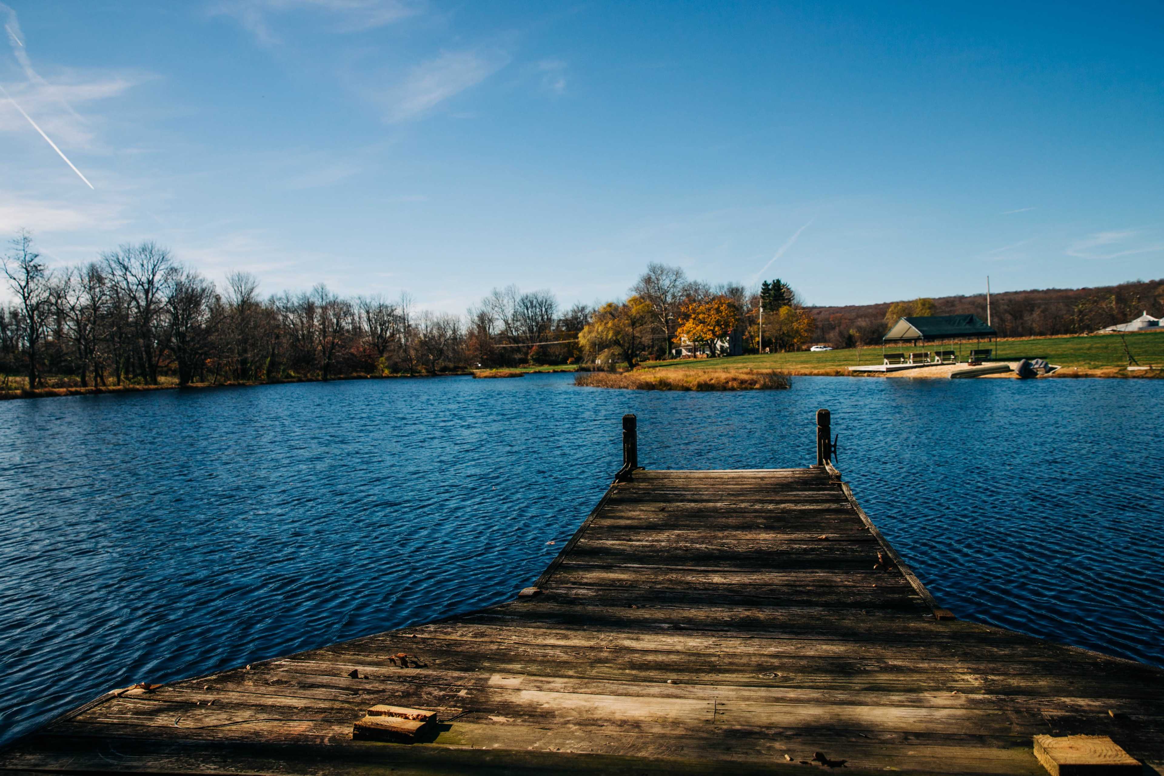 A wooden dock extends into a calm lake surrounded by trees and a grassy area.