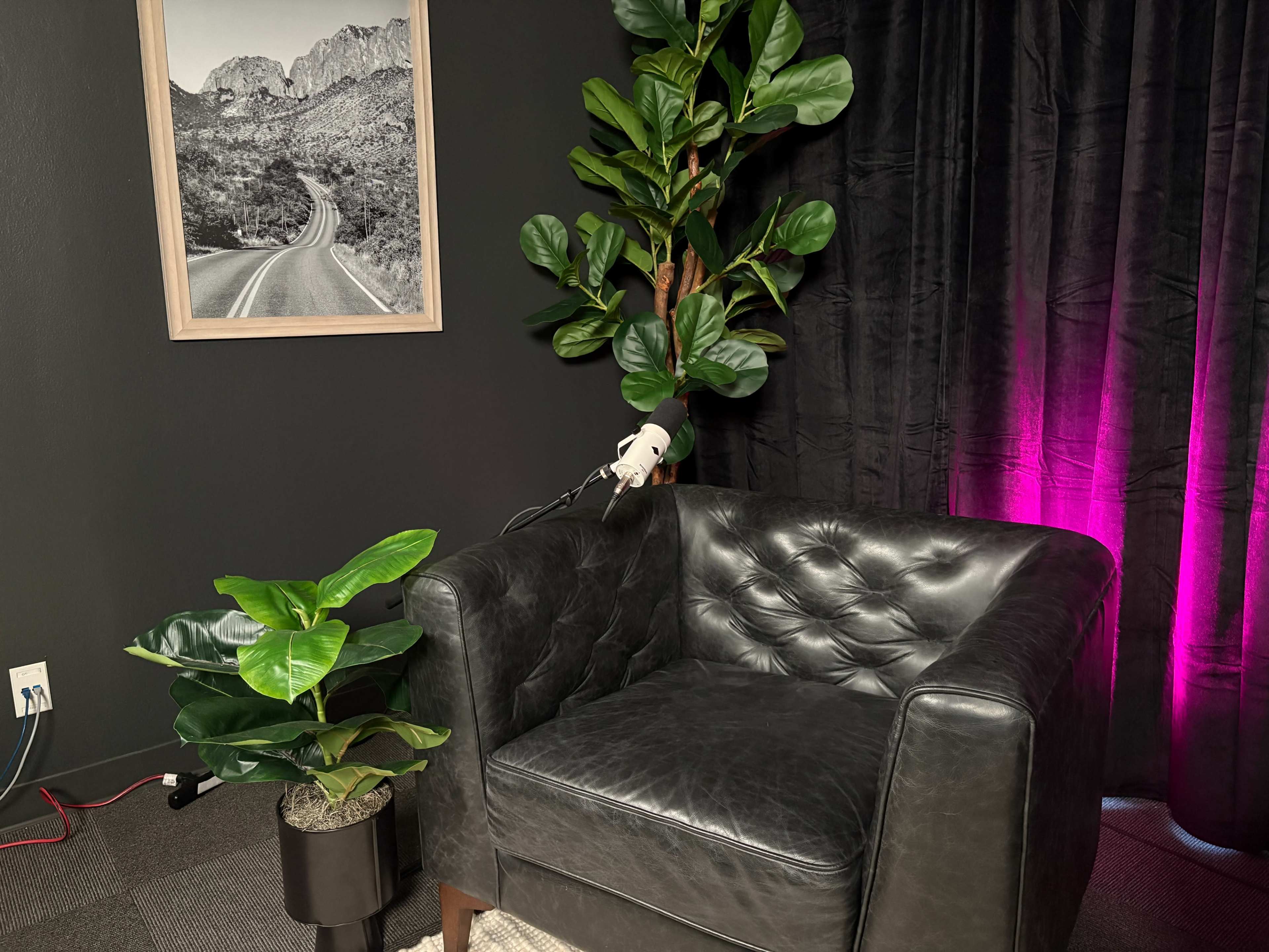The image shows a black leather armchair next to a potted plant, with a framed photograph of a road in a mountainous landscape hanging on the wall behind it.