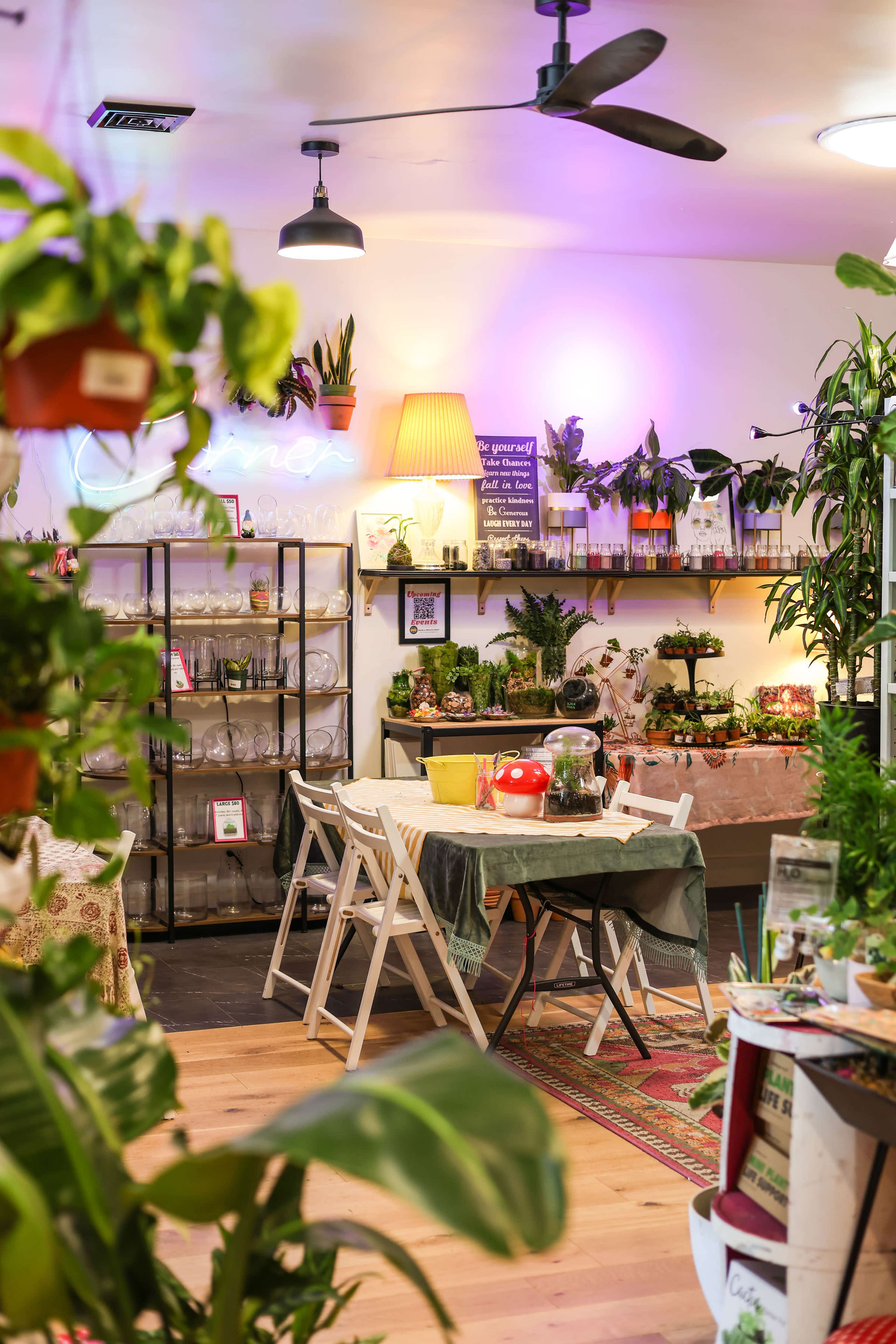 A cozy shop interior filled with plants, featuring a table set for an arrangement with glassware and decorative items, illuminated by soft lighting.