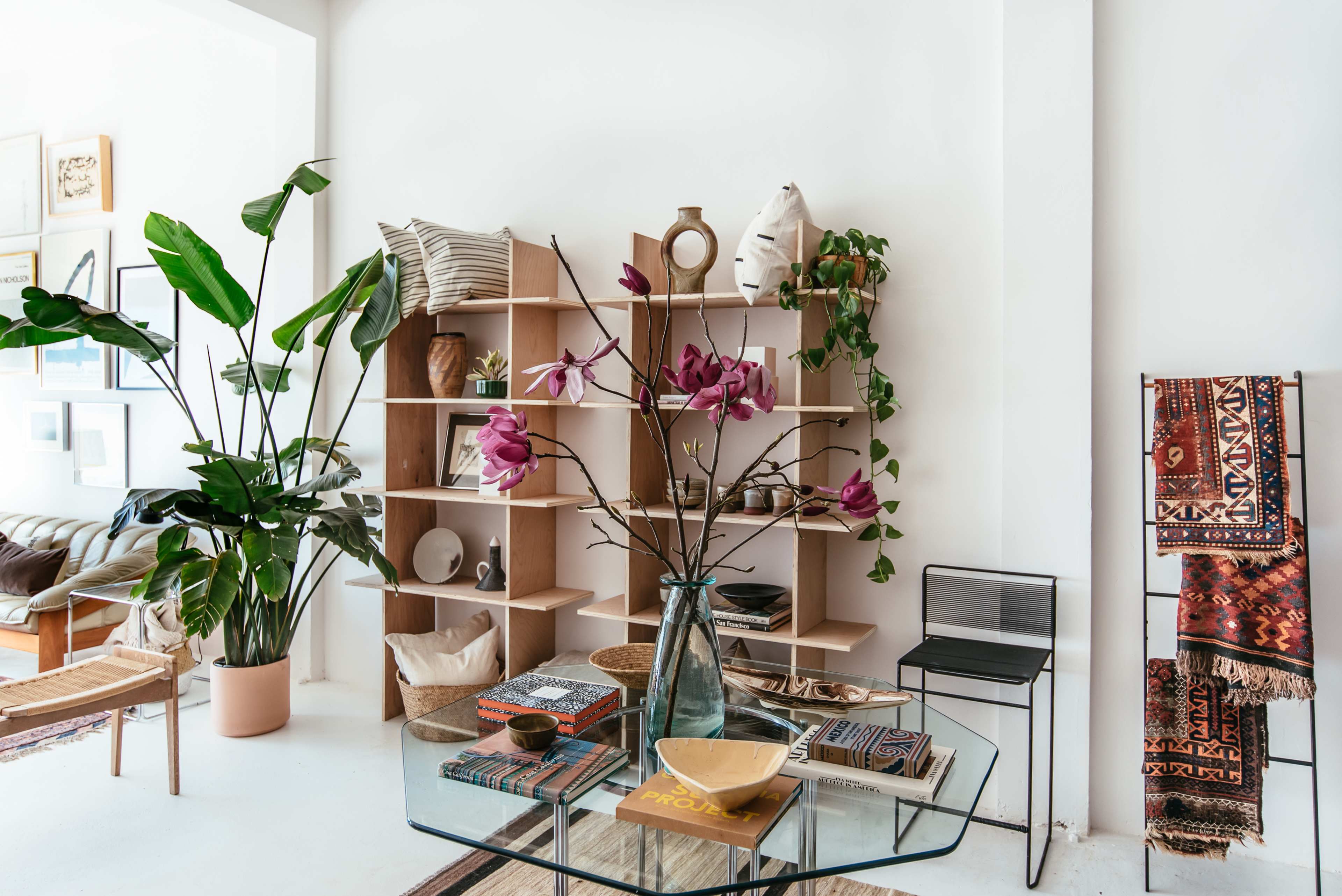 A modern living space features a minimalist shelving unit filled with decor, plants, and a glass coffee table with various items on top.