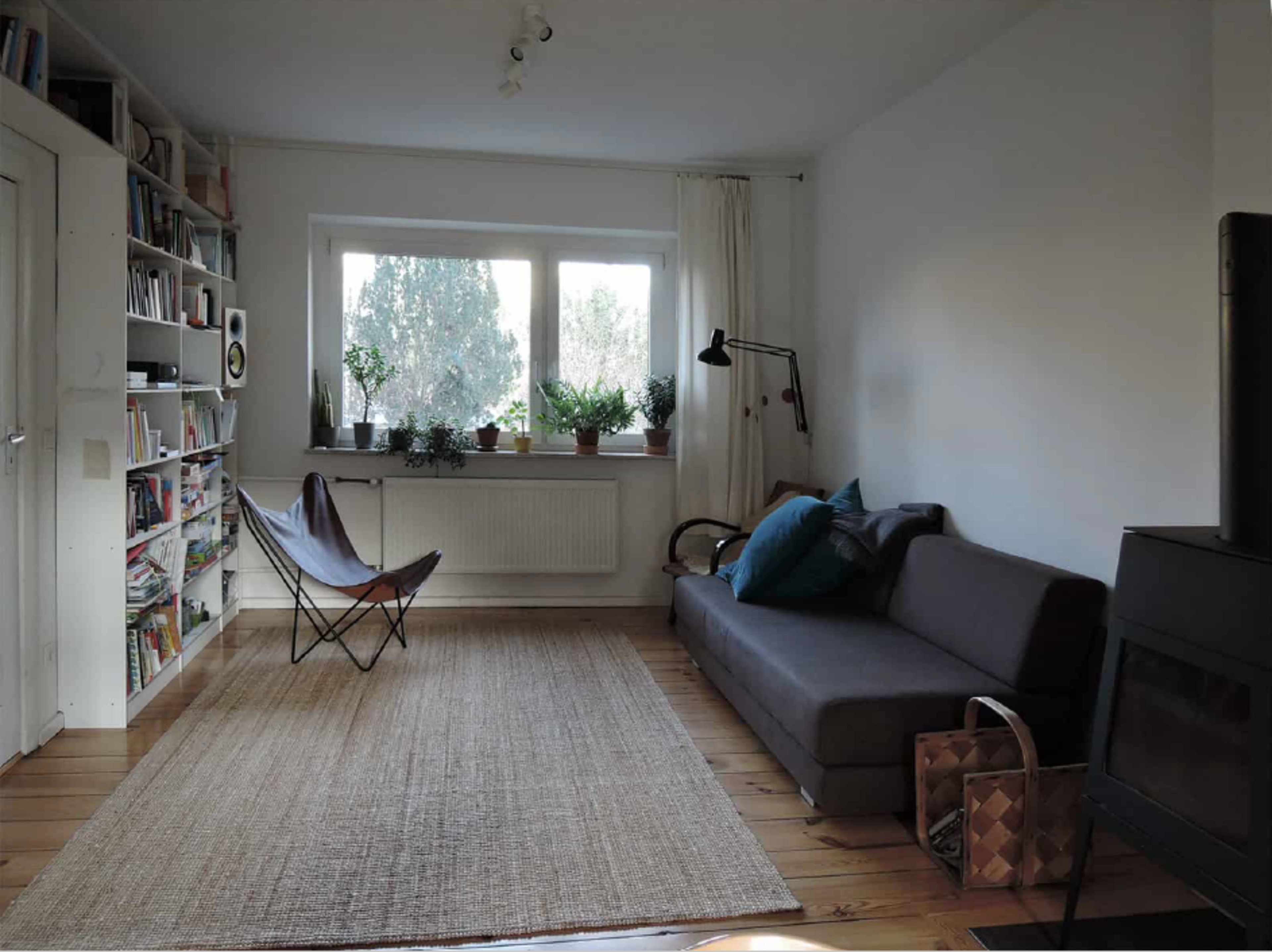 A modern living room features a gray sofa, a butterfly chair, a natural fiber rug, and a bookshelf filled with books, illuminated by sunlight from a large window.