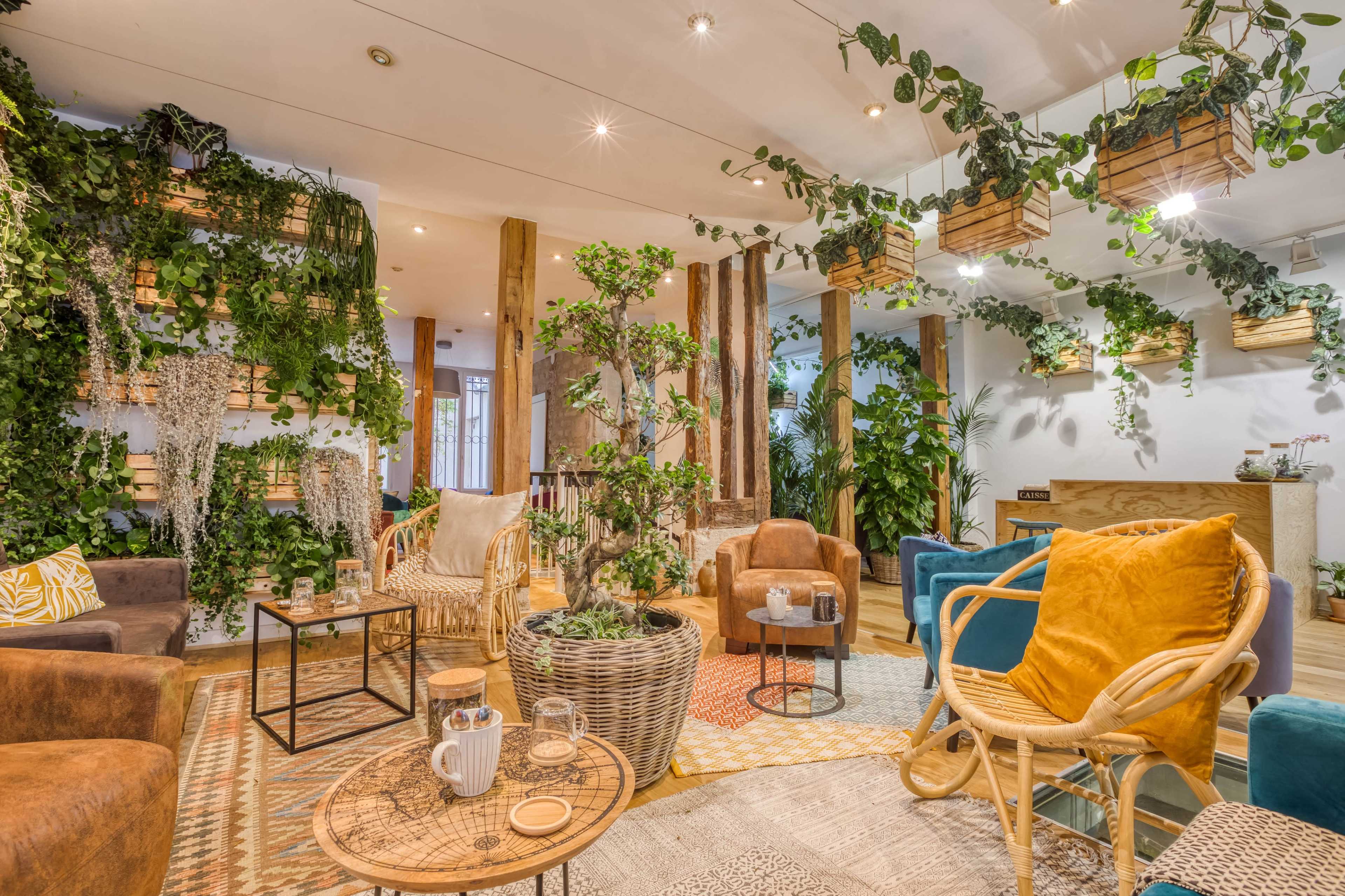 A cozy indoor space filled with various plants, comfortable seating, and decorative accents.
