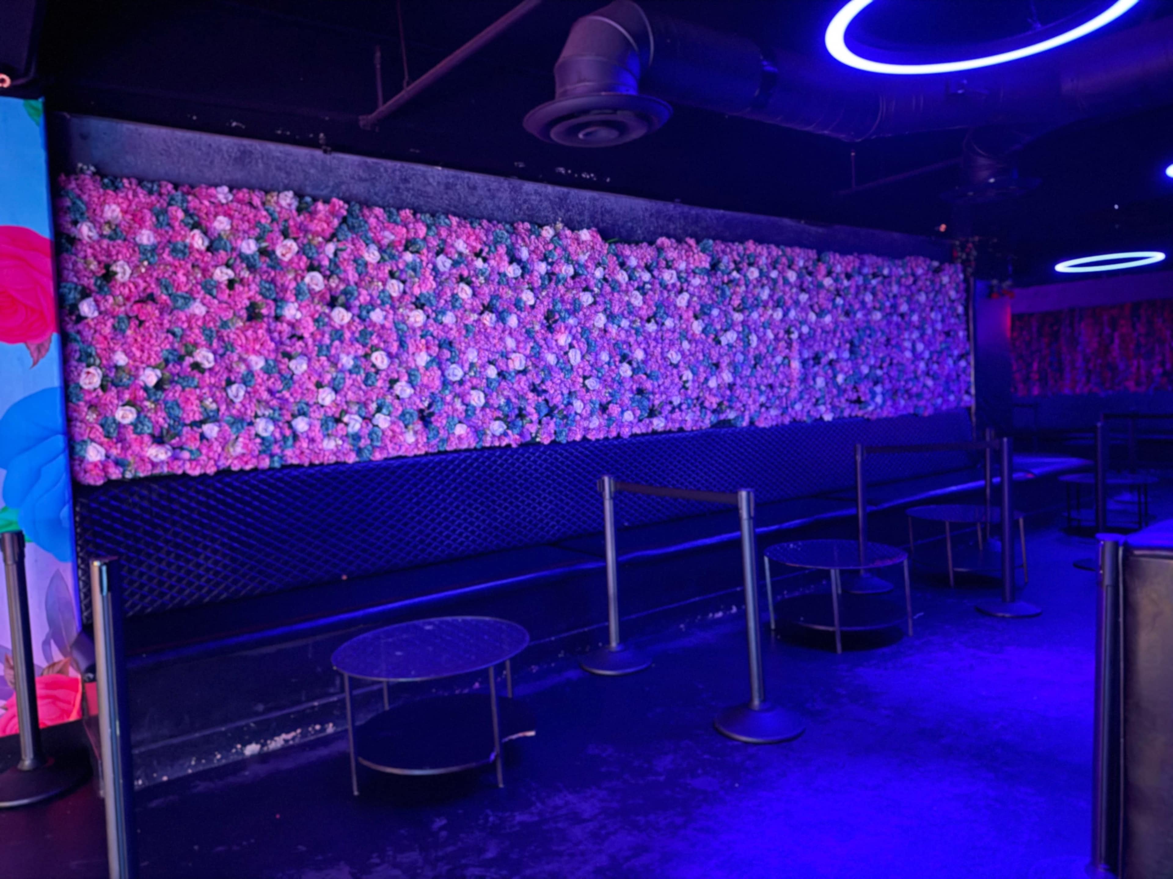 The image shows a dimly lit nightclub interior featuring a large floral wall decoration and several empty tables with barriers in front of them.