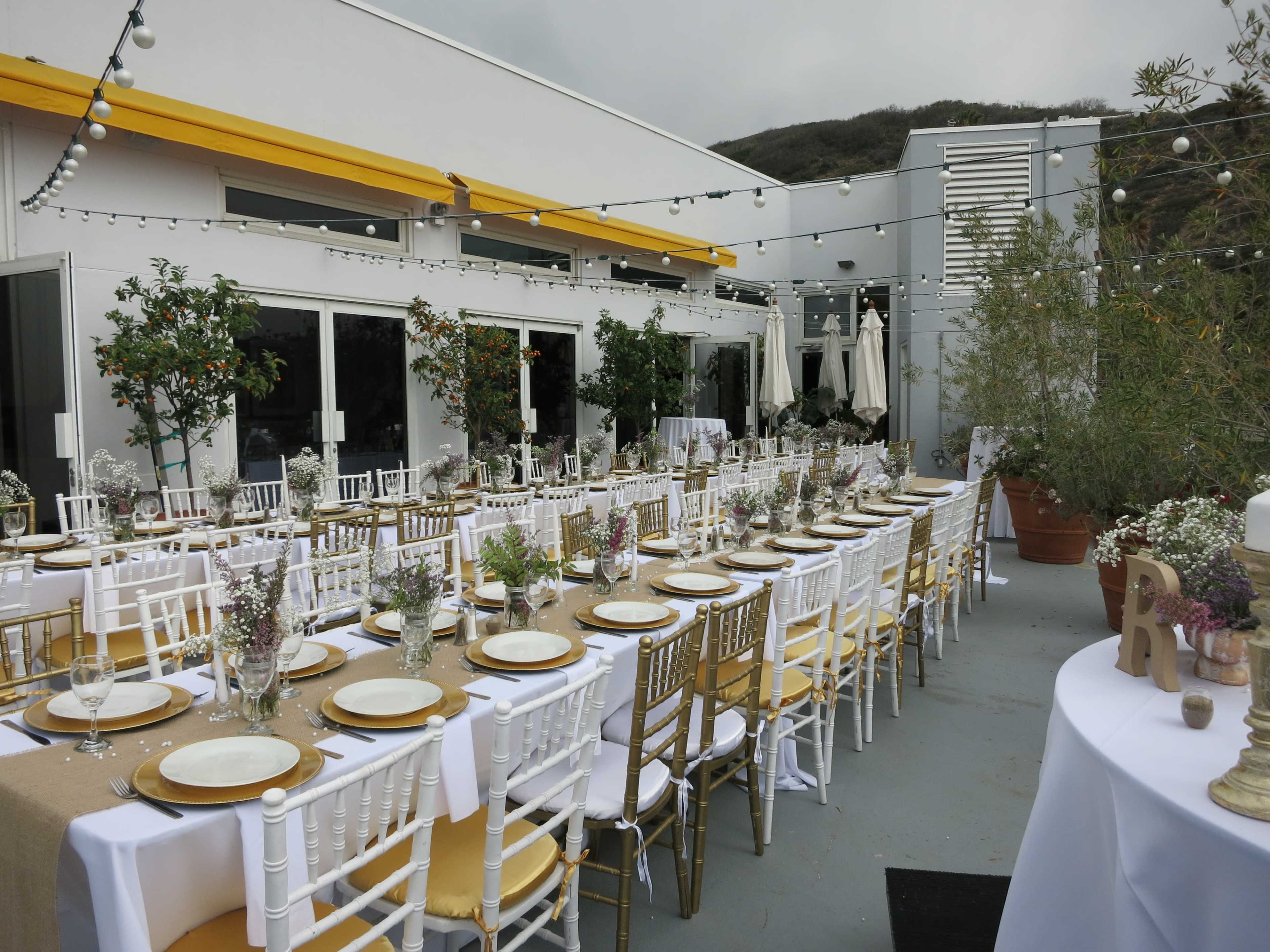 The image shows a beautifully arranged outdoor dining area with long tables set with white tablecloths, gold plate settings, and decorative centerpieces, surrounded by greenery and string lights.