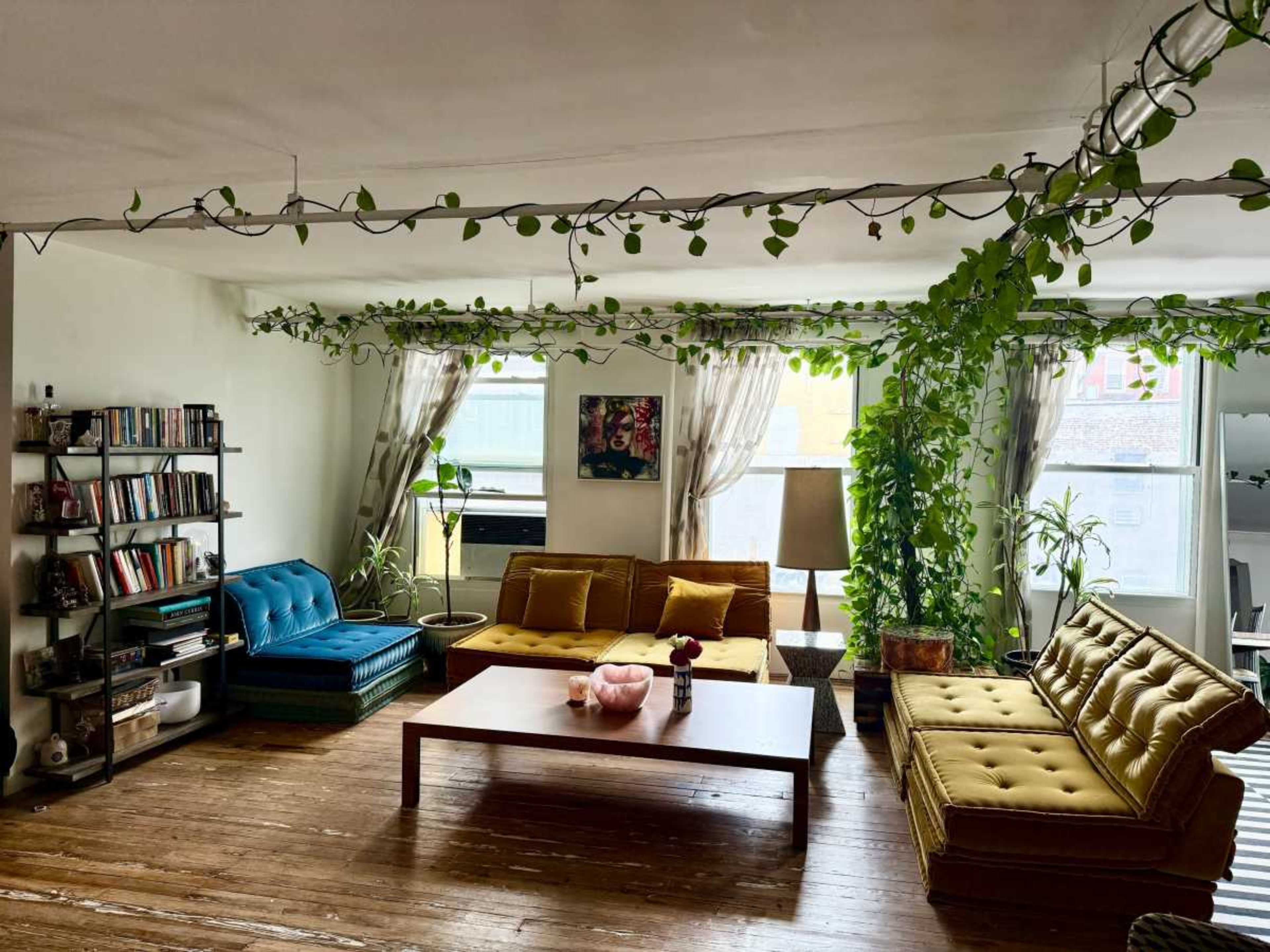 The room features two sofas, one blue and one yellow, a wooden coffee table, a bookshelf, and numerous plants hanging from the ceiling and placed around the space.