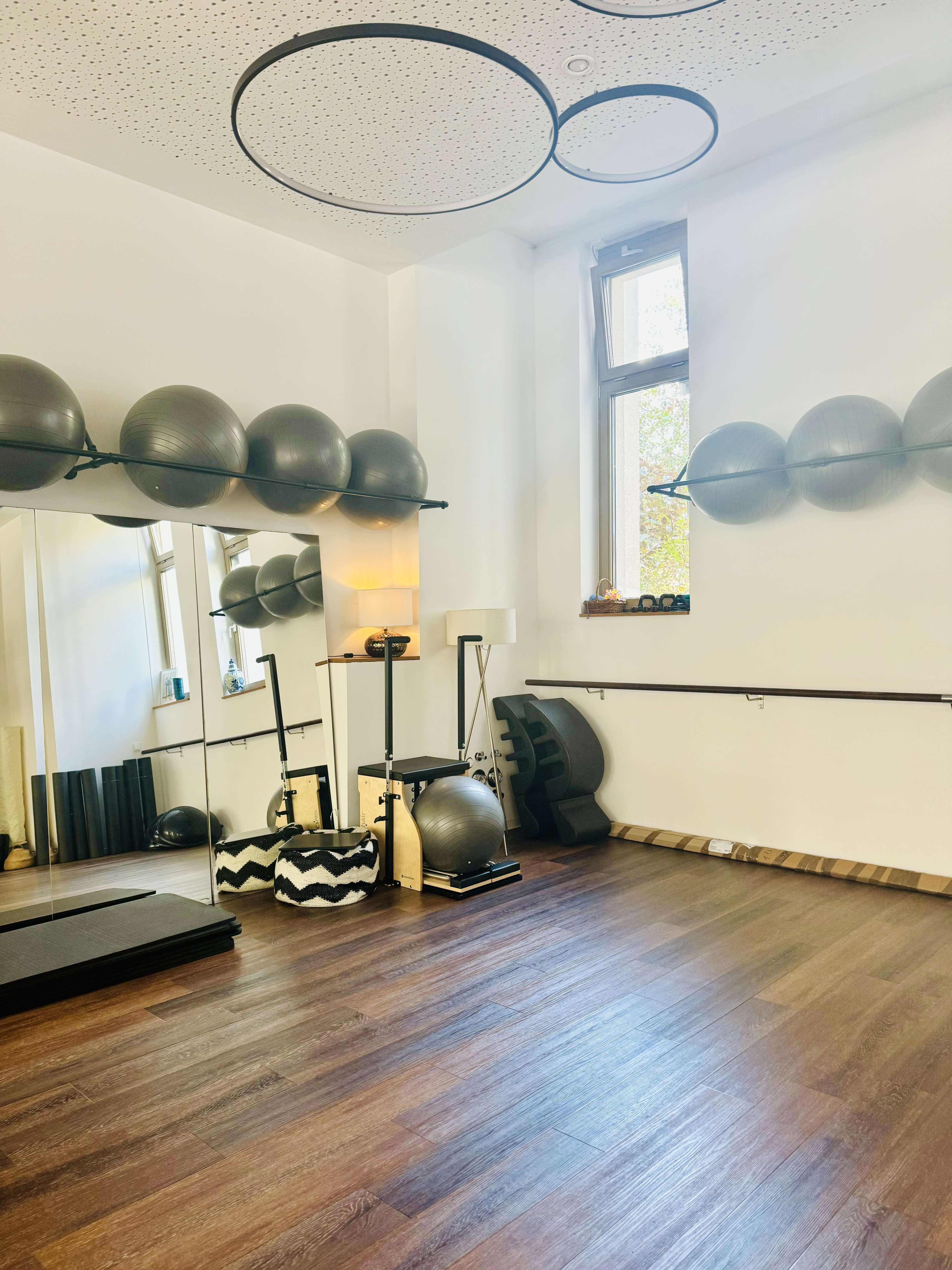 The image shows an exercise room featuring several stability balls on a wall-mounted shelf, a mirrored wall, and various fitness equipment on the floor.