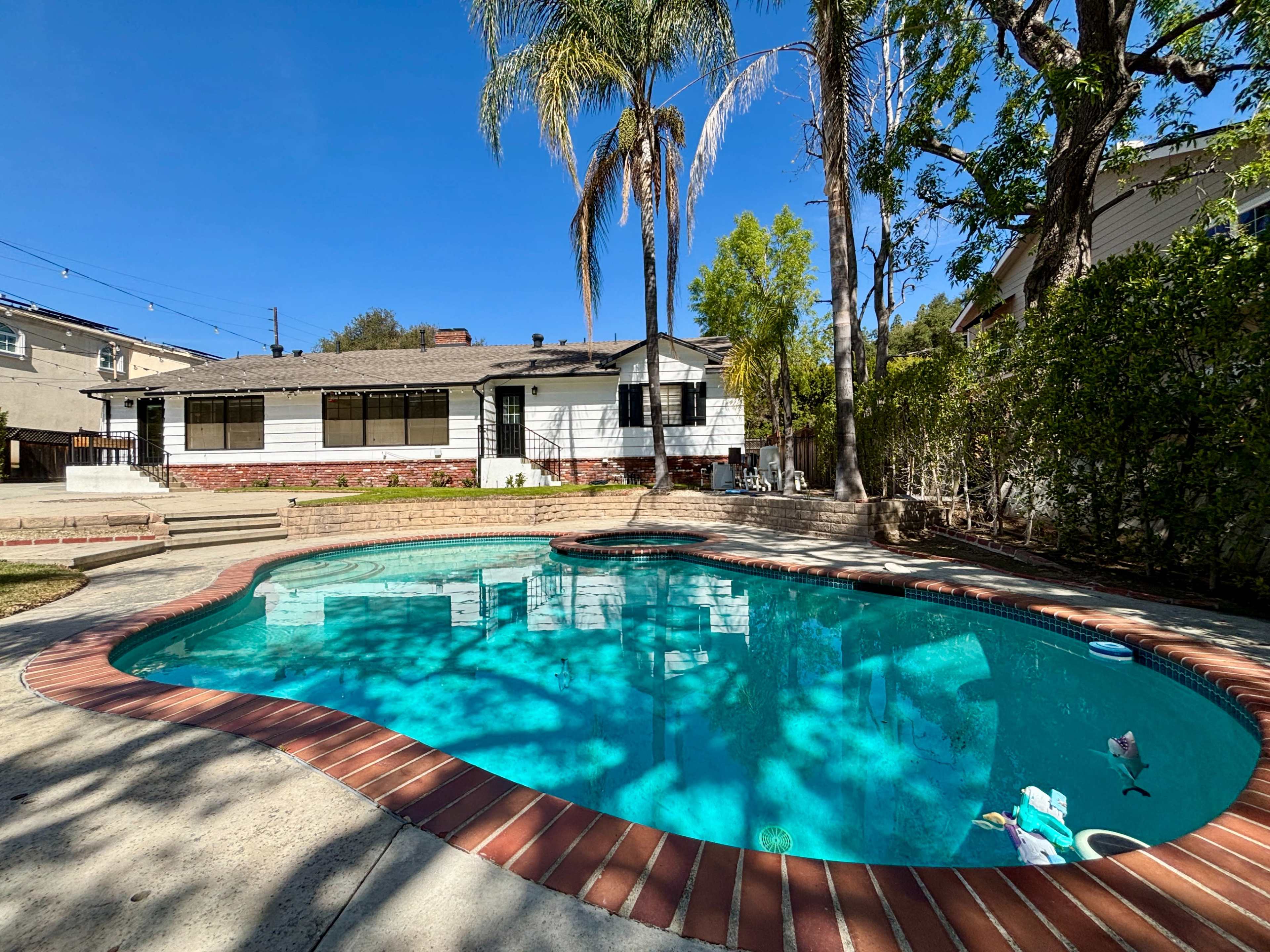 The image shows a backyard with a swimming pool surrounded by concrete and a house in the background, with palm trees and green foliage nearby.