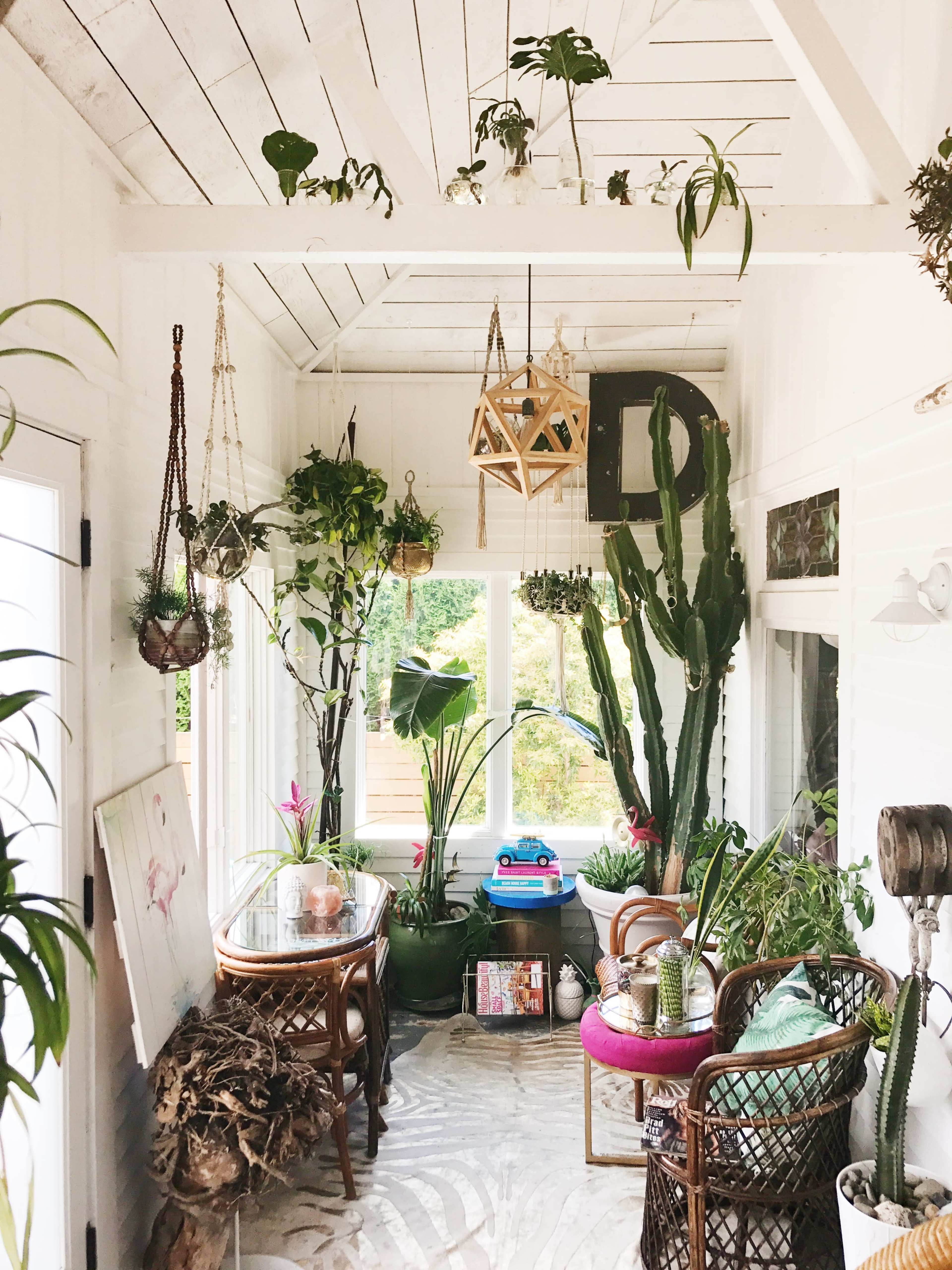 A sunlit indoor garden features an assortment of potted plants, hanging decorations, and a glass table surrounded by wicker chairs.