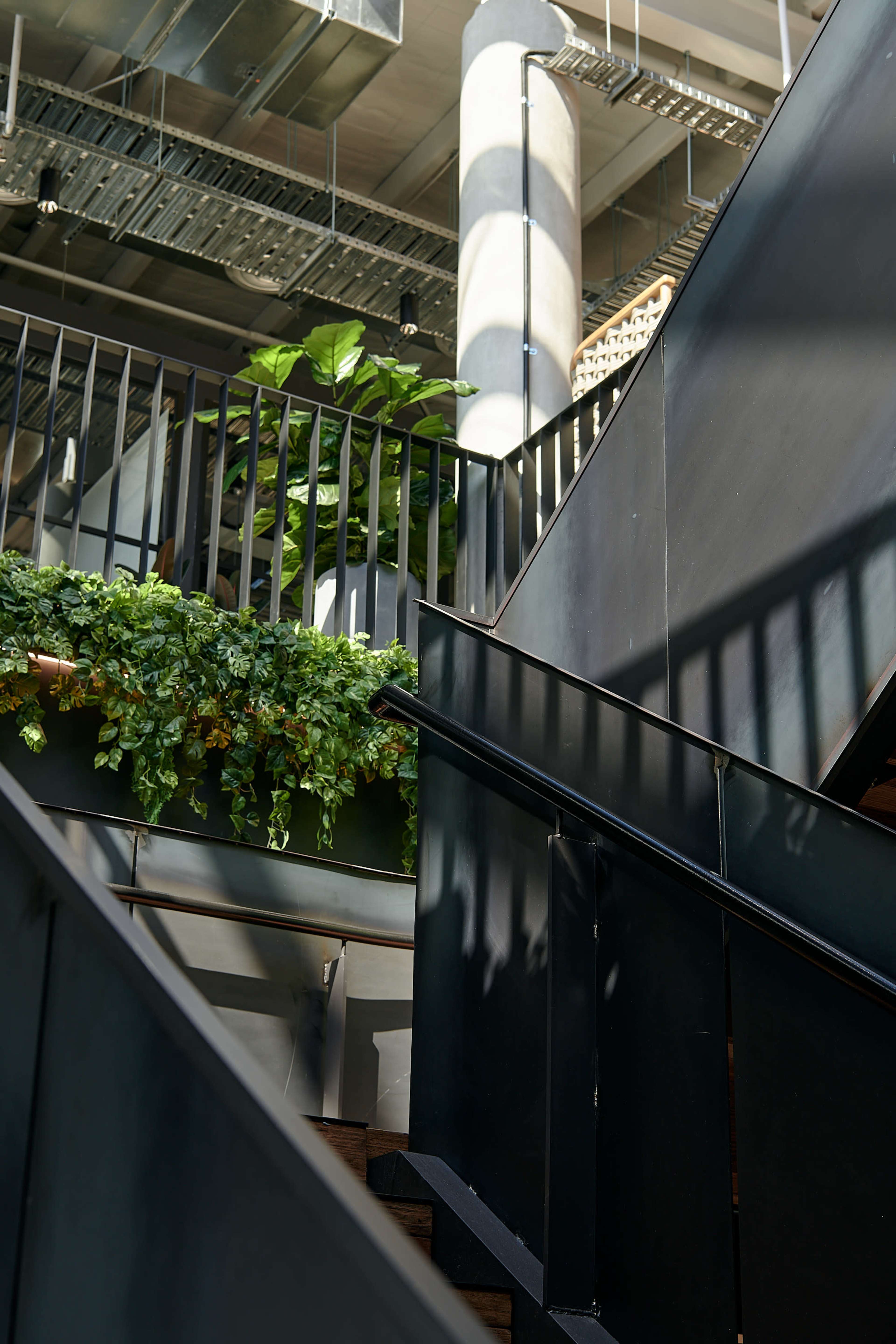 The image shows a staircase with a black railing, leading upwards, accompanied by lush greenery along the wall.