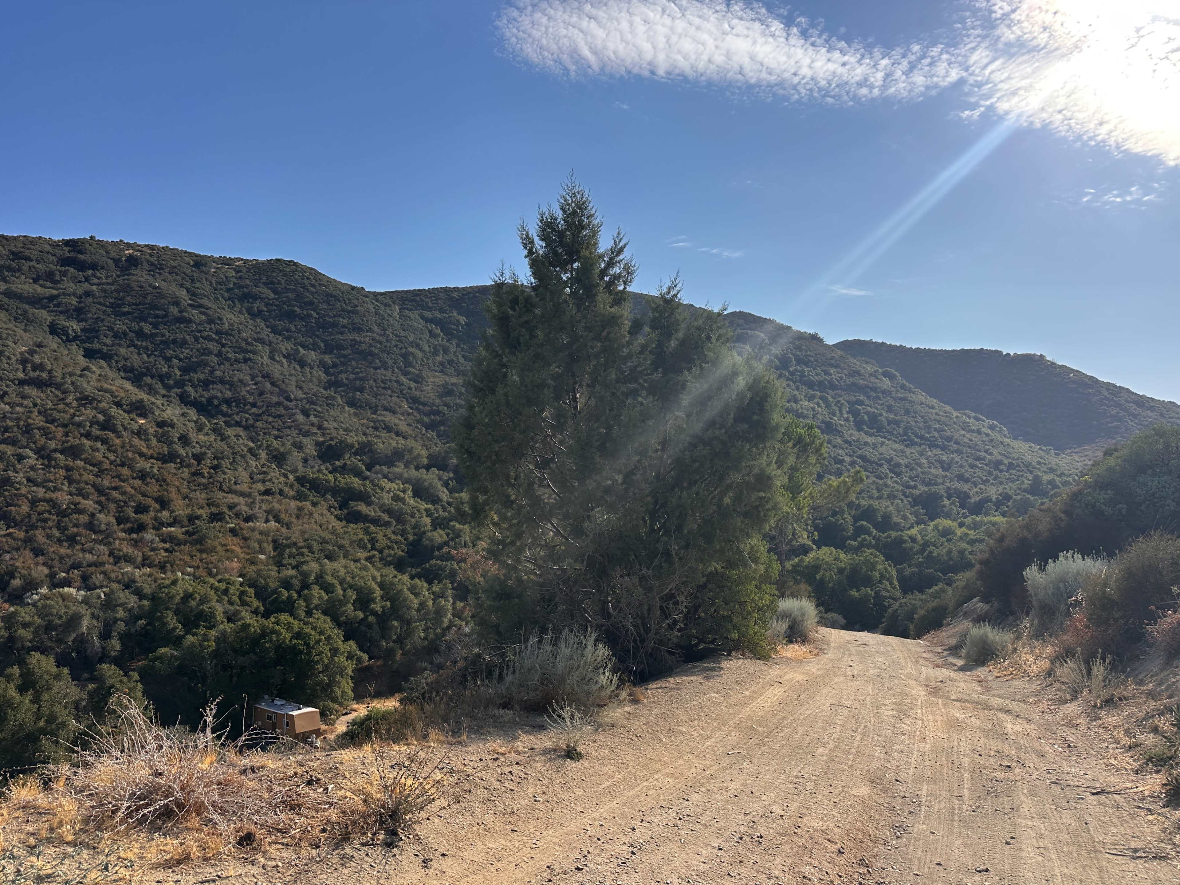 A dirt road winds through a mountainous area with green trees and hills under a clear blue sky.