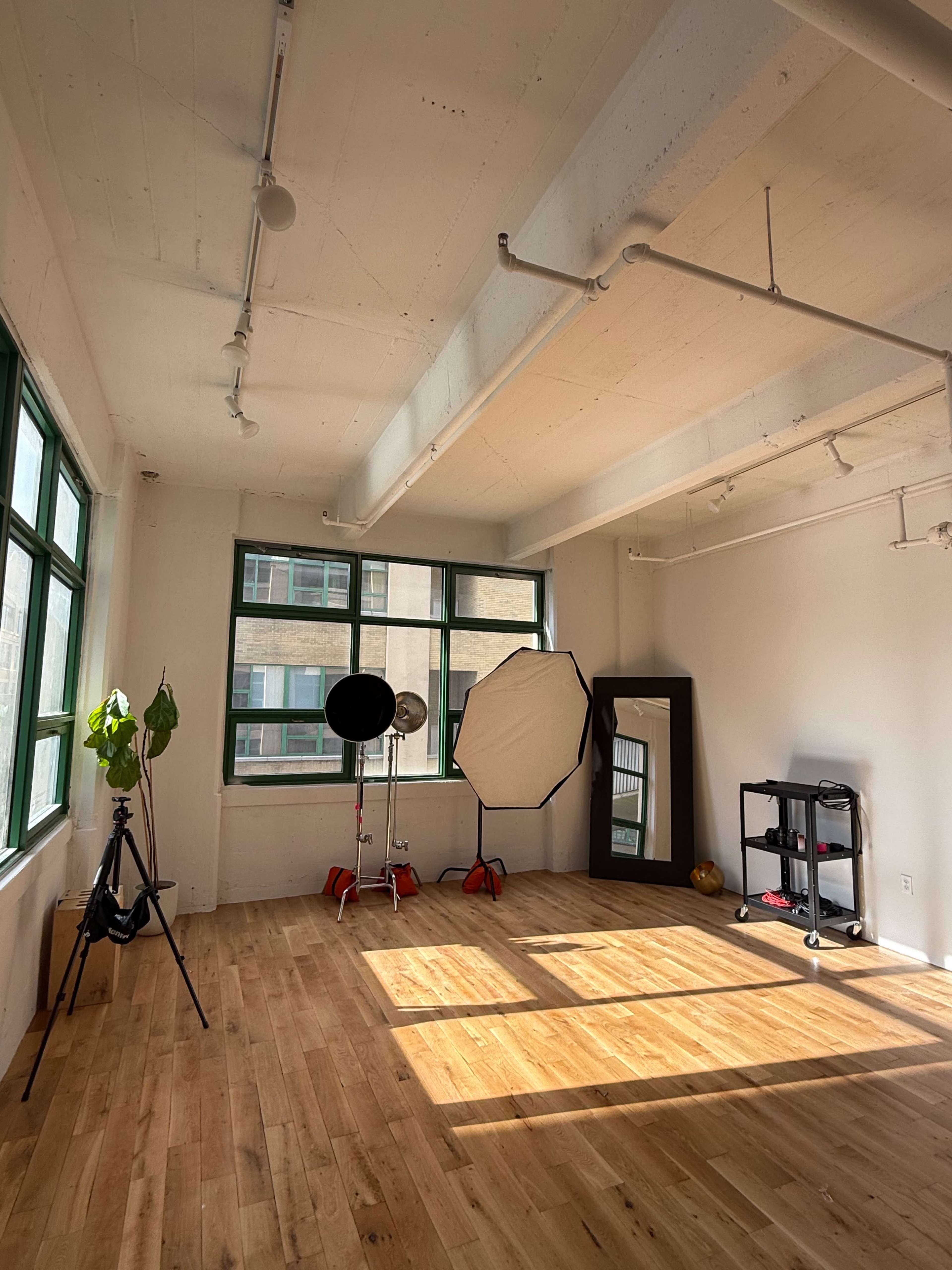 Vintage Modern Bright Studio for Photographers + Creators Image in Downtown Brooklyn, brooklyn, NY