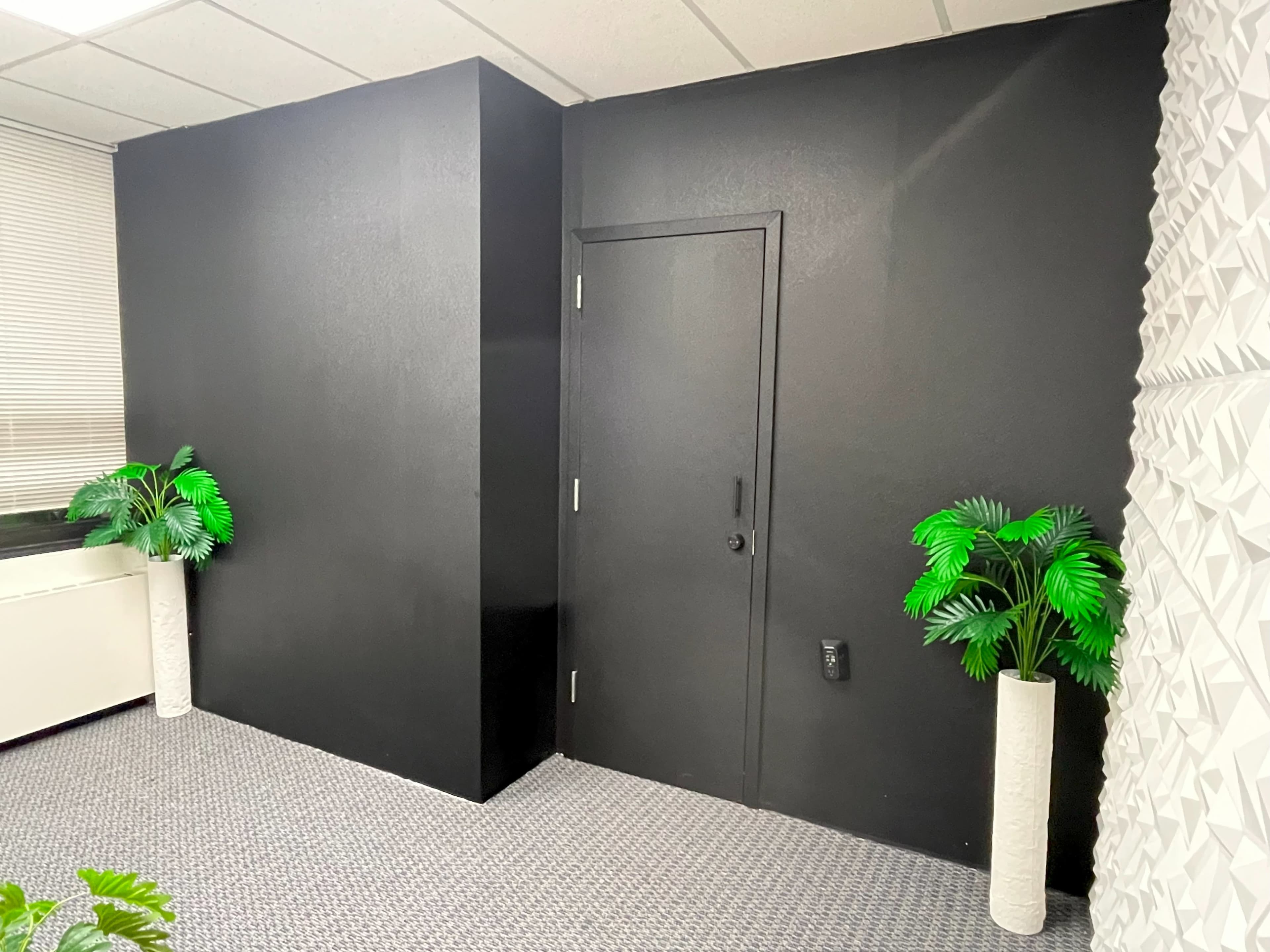 Small Flexible Room for Meetings, Streaming and Music Production Image in Jamaica Estates, Jamaica, NY