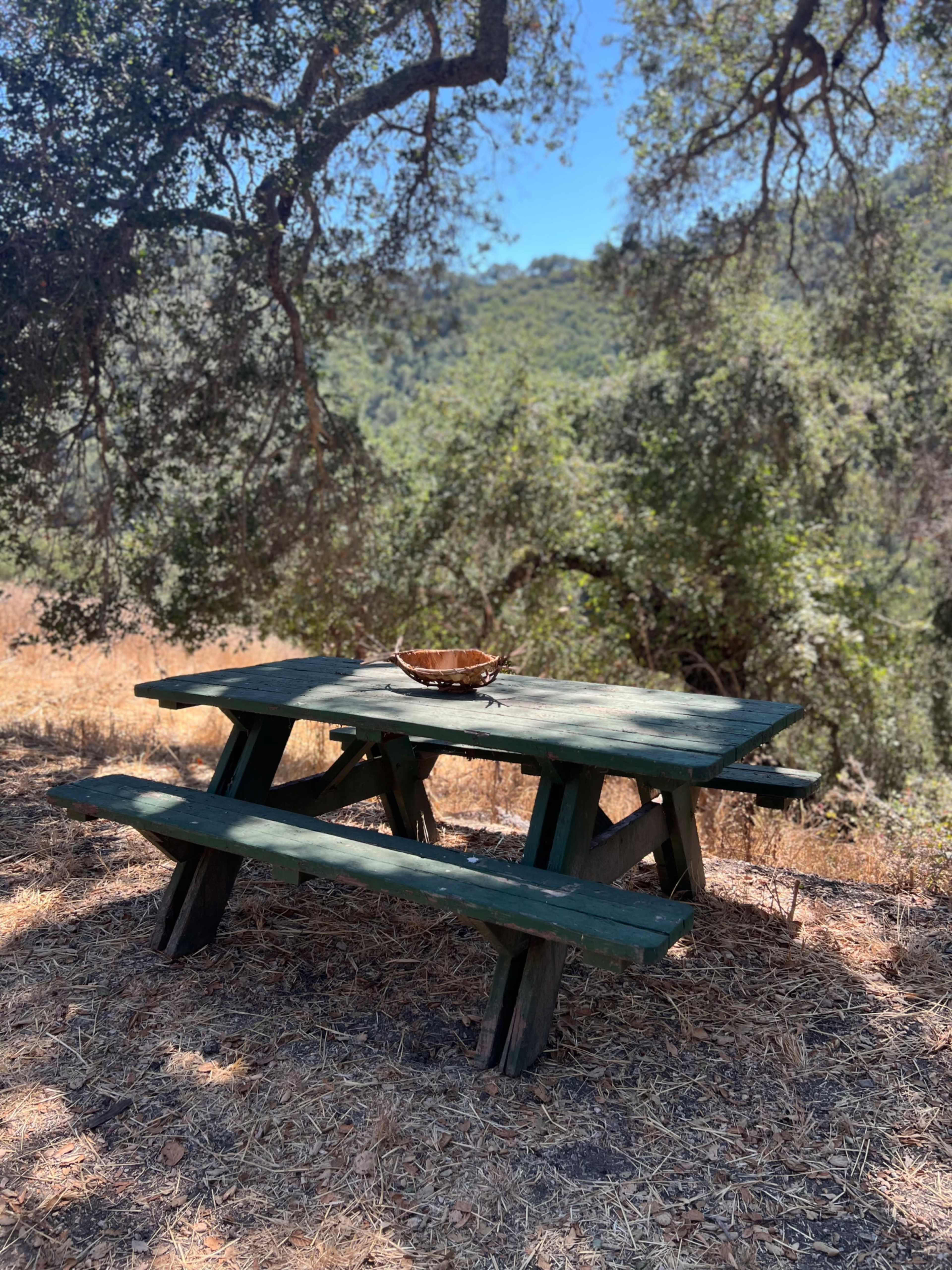 A green picnic table sits under trees in a sunlit, grassy area with a mountain backdrop.