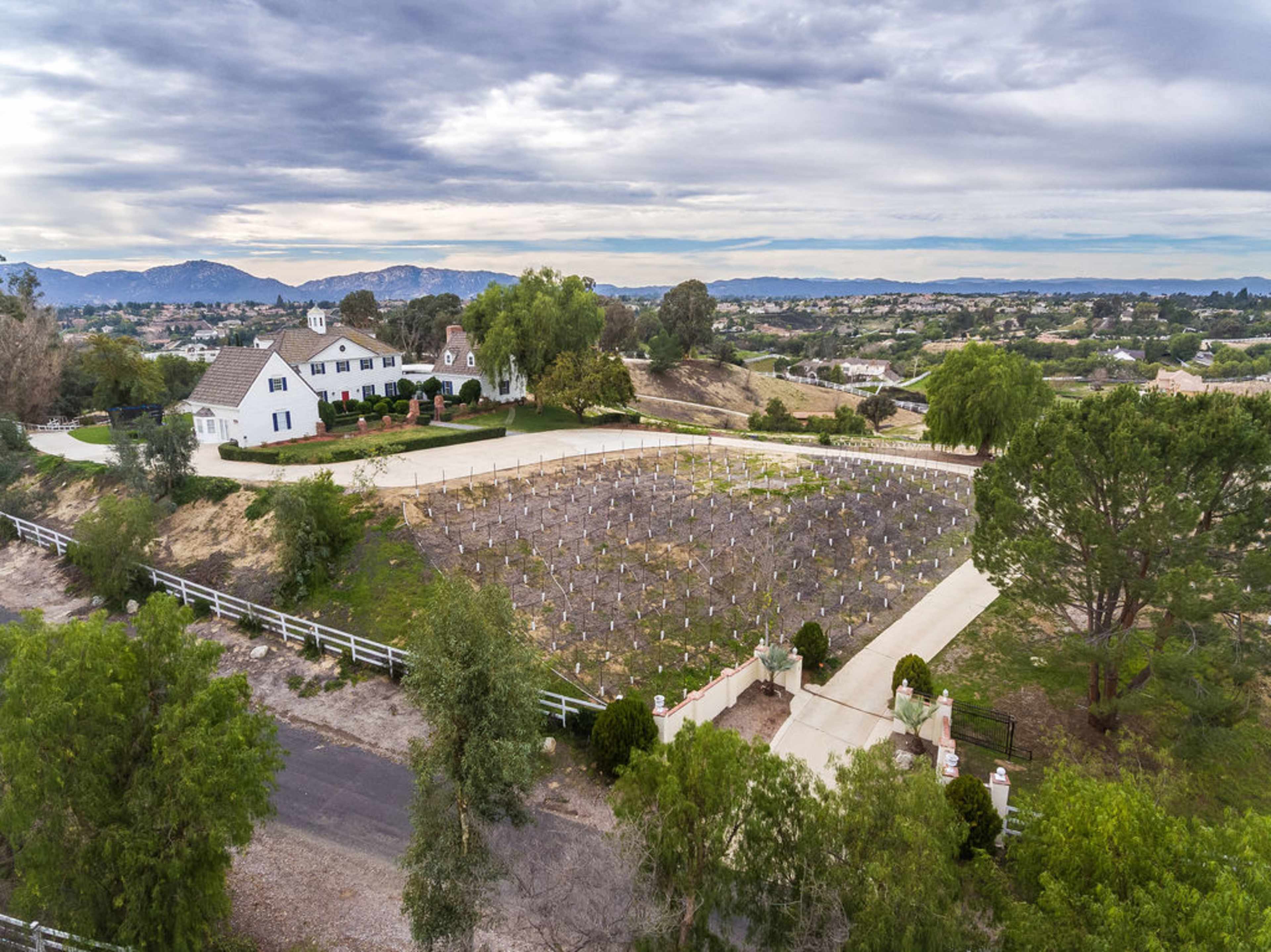 Wine Country Vineyard View Estate Image in , temecula, CA