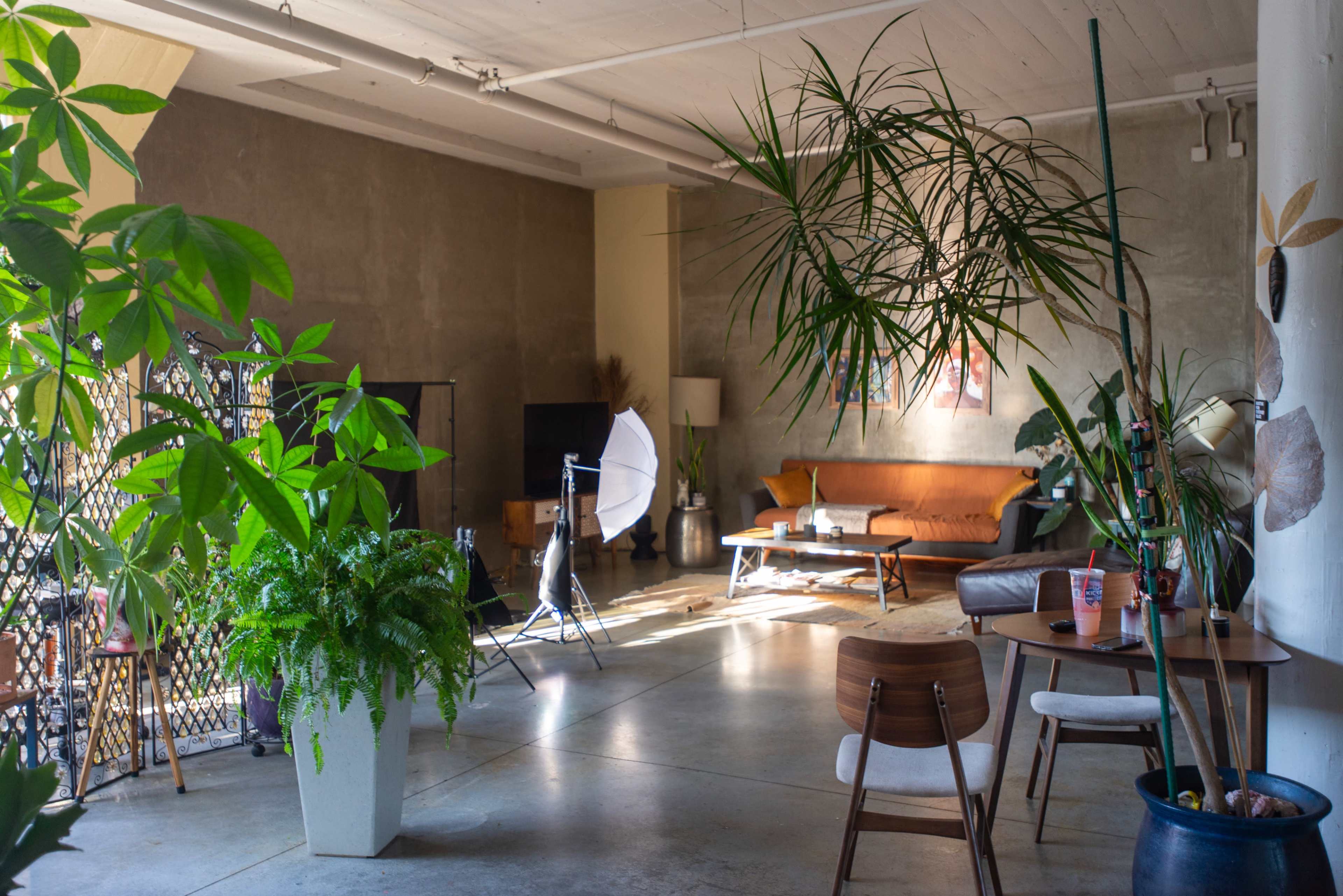 Green art living loft Image in East 14th Street Business District, Oakland, CA