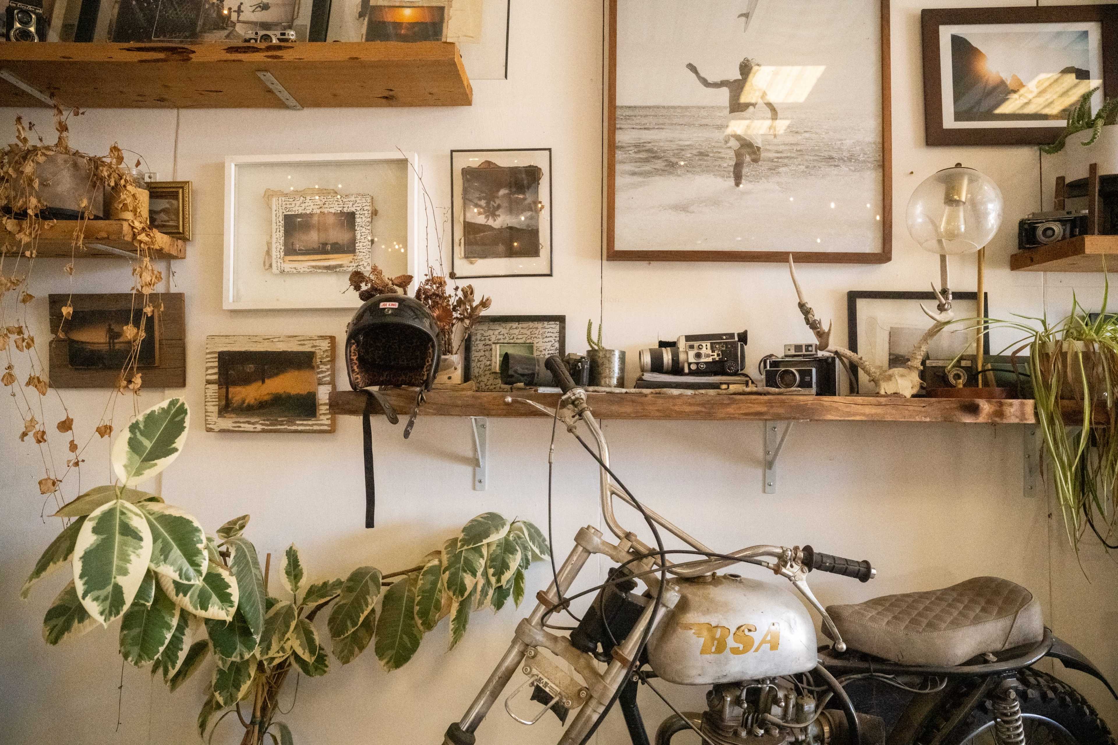 The image displays a vintage motorcycle in front of a wall decorated with framed photographs, plants, and various cameras.