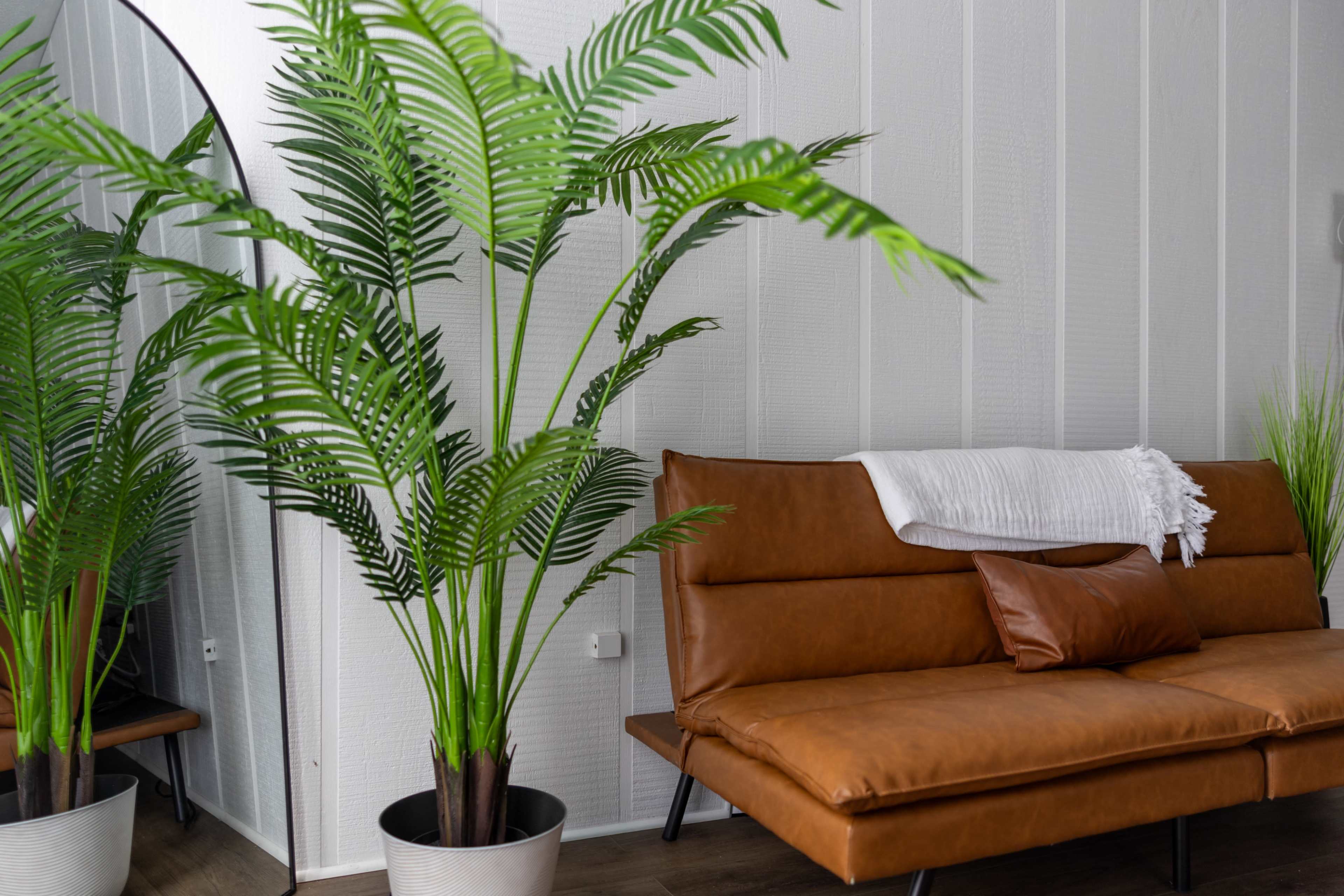 The image shows a brown leather sofa next to a large green potted plant and a mirror against a textured white wall.