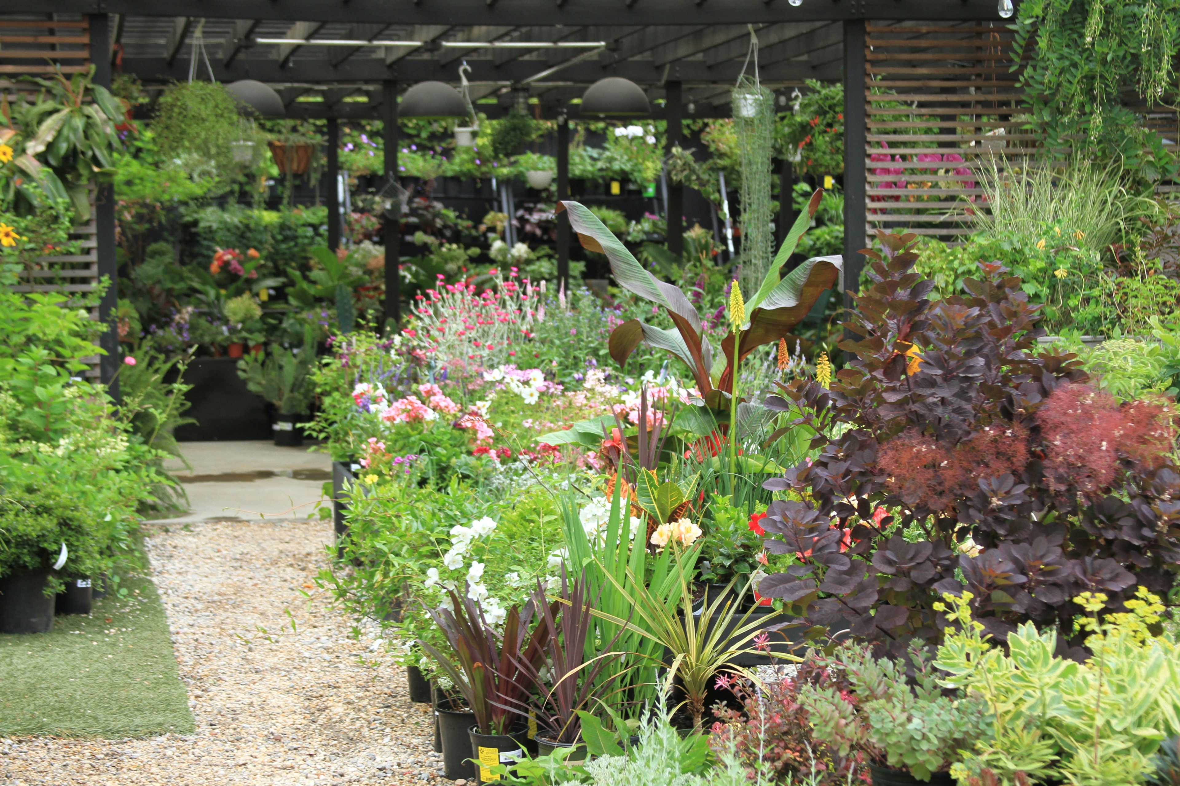 Unique and Versatile Outdoor Space with Luscious Garden Image in Clinton Hill, Brooklyn, NY