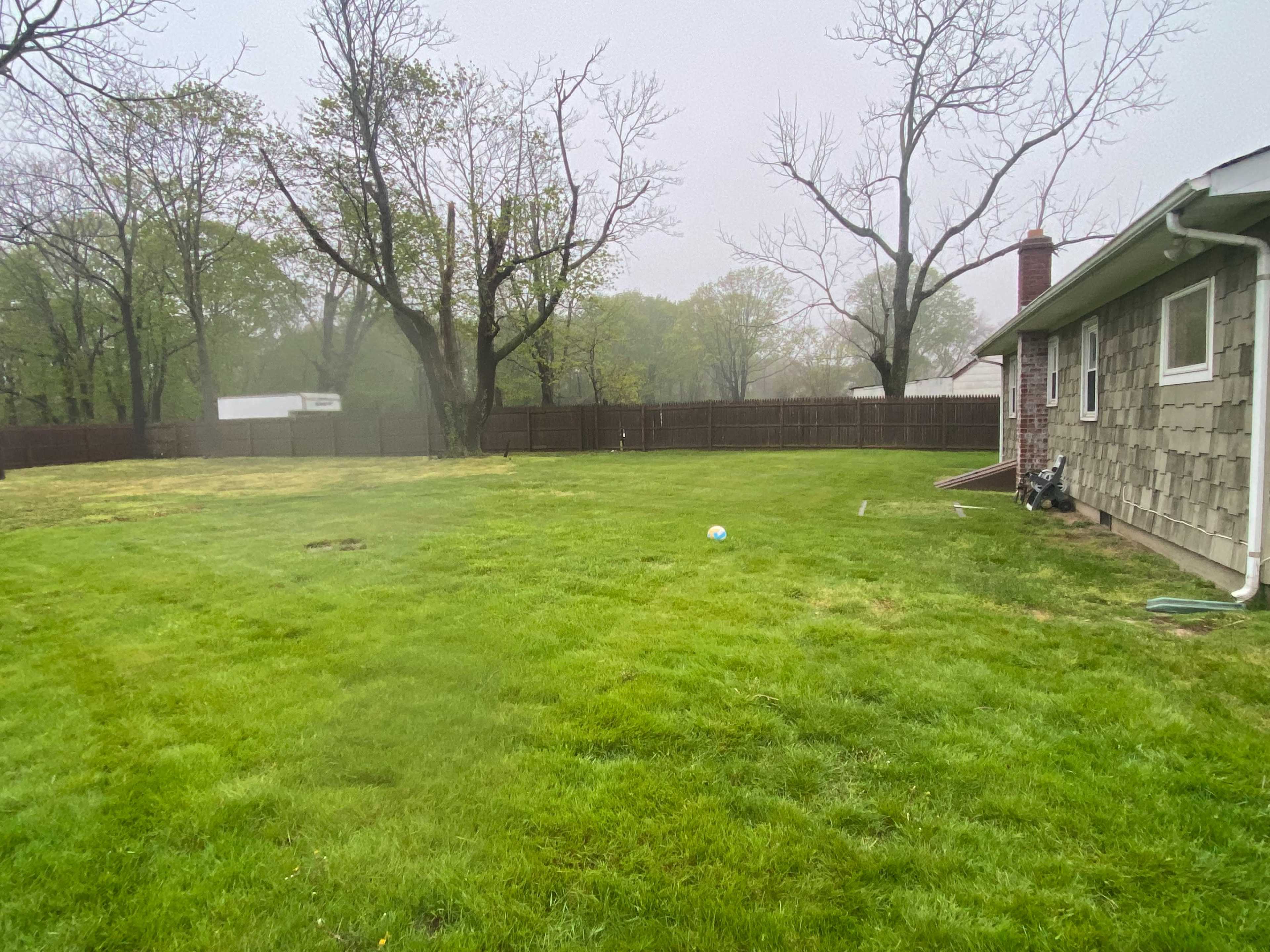 A foggy backyard features a green lawn with scattered trees and a house on one side.
