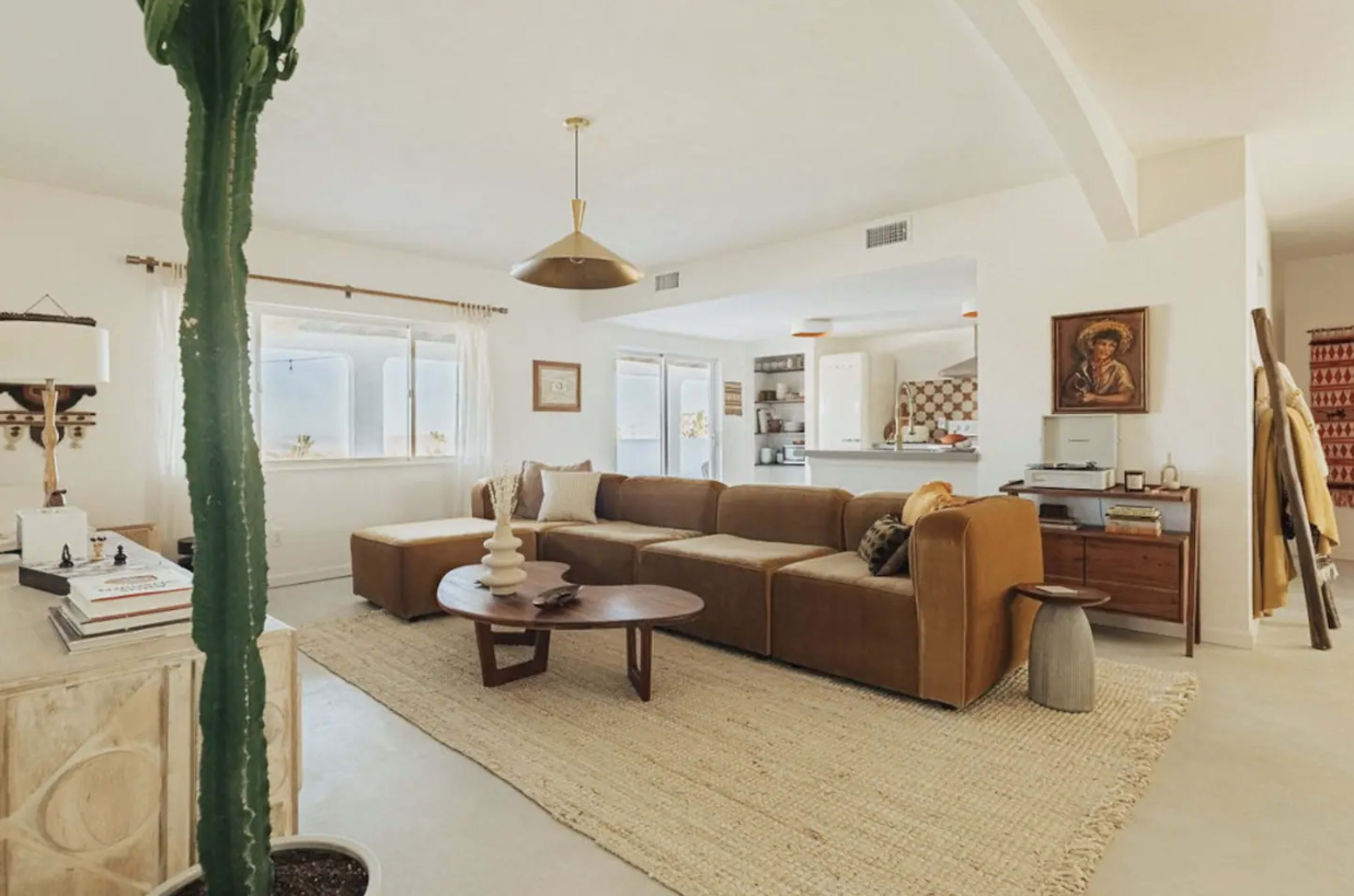 A modern living room featuring a brown sectional sofa, a round coffee table, a tall cactus plant, and a light-colored area rug.