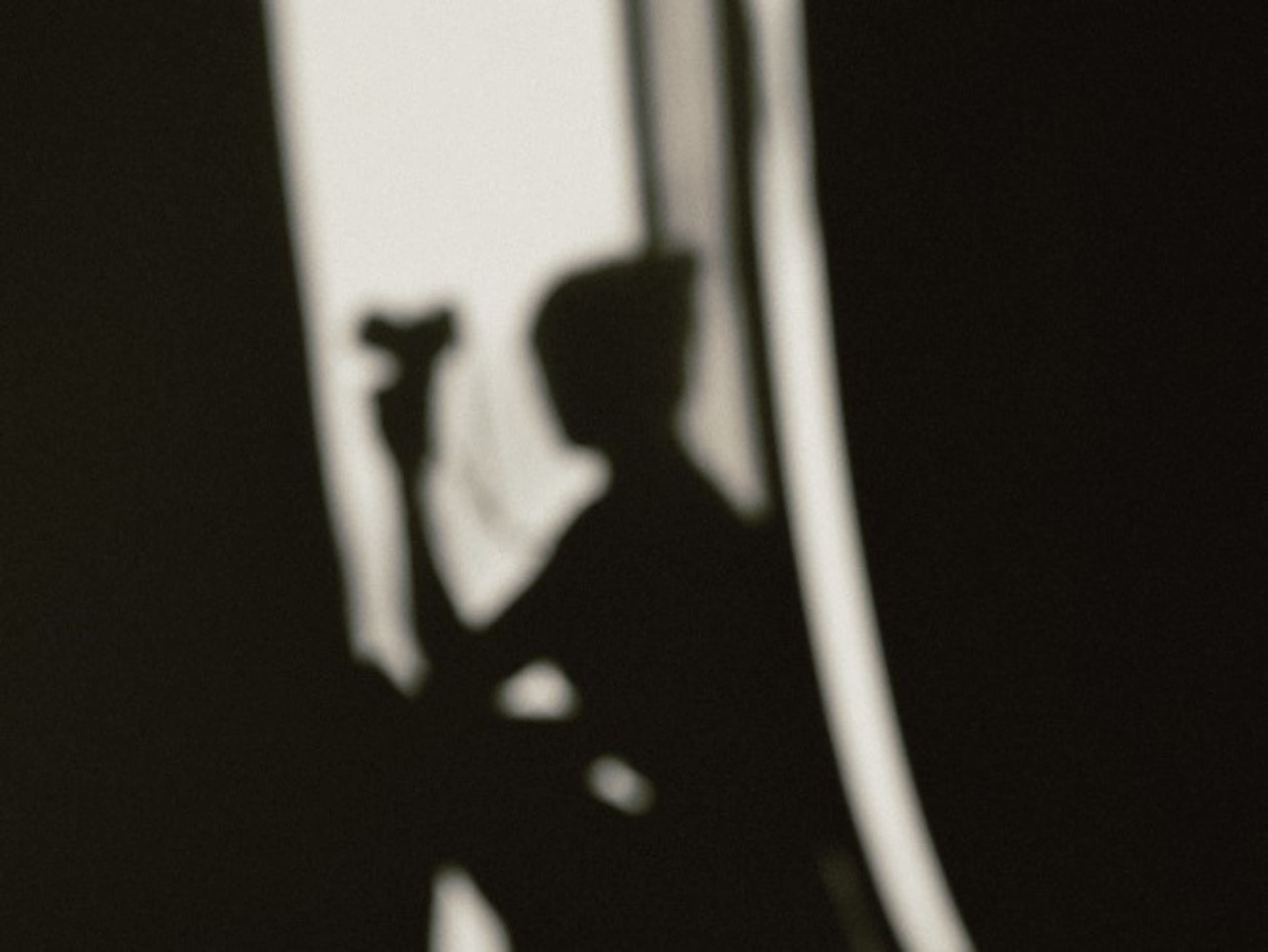 Professional Photographer - 8 hour shoot