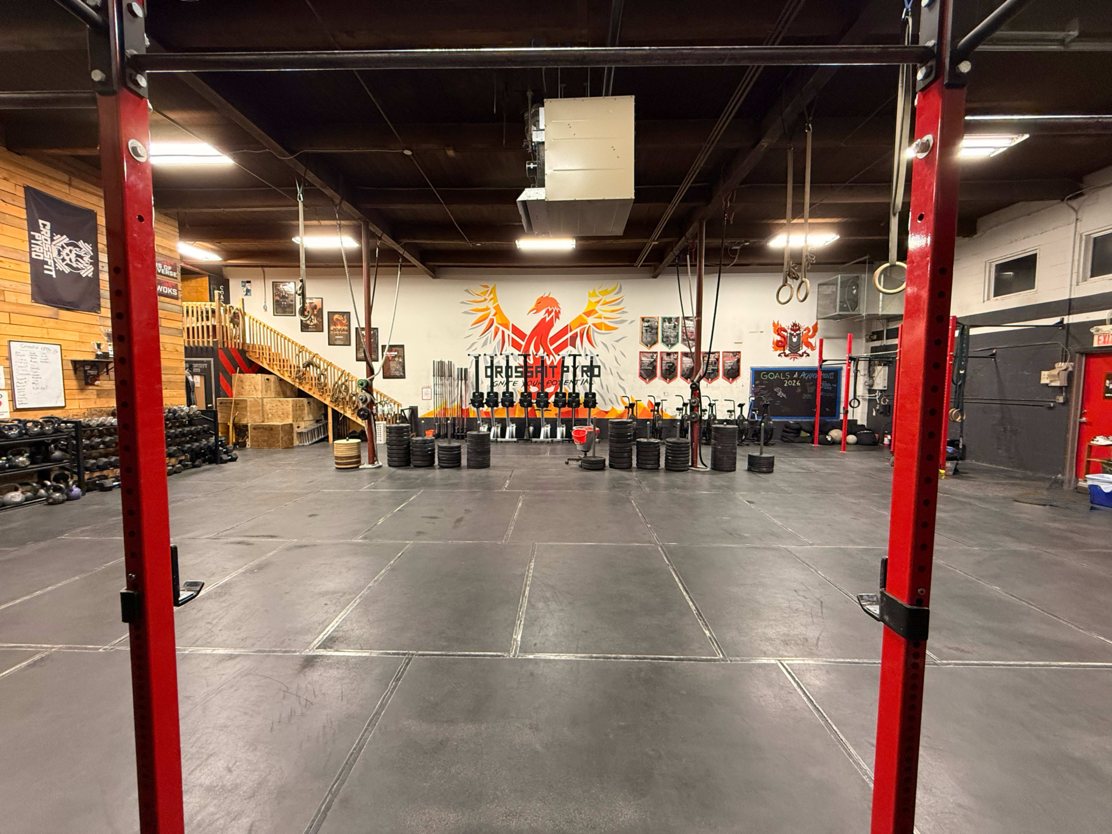 The image shows a spacious gym with a large phoenix mural on one wall, lined with workout equipment and black weight plates scattered throughout.