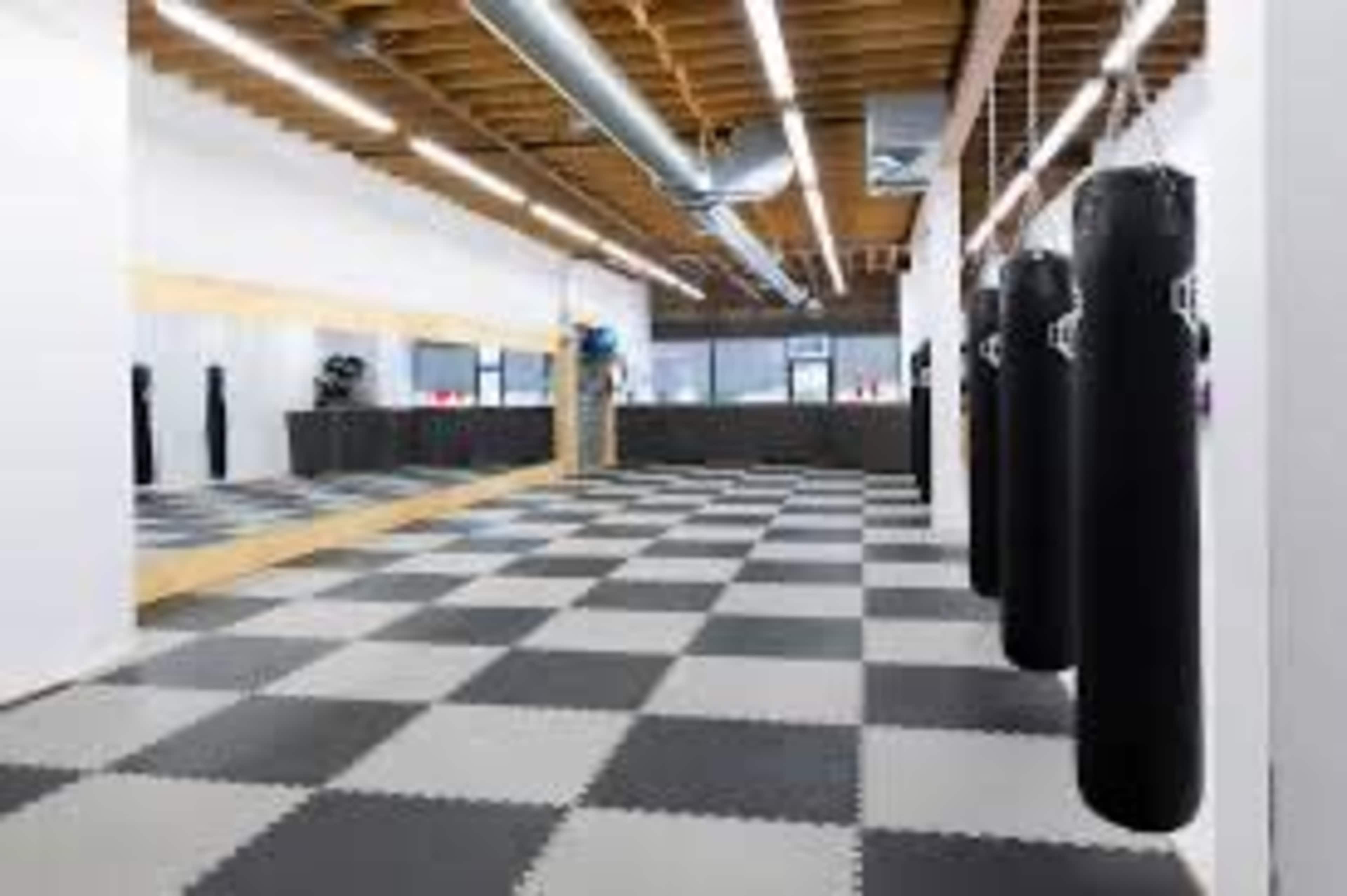A spacious martial arts studio featuring black punching bags hanging from the ceiling and a checkerboard-patterned floor.