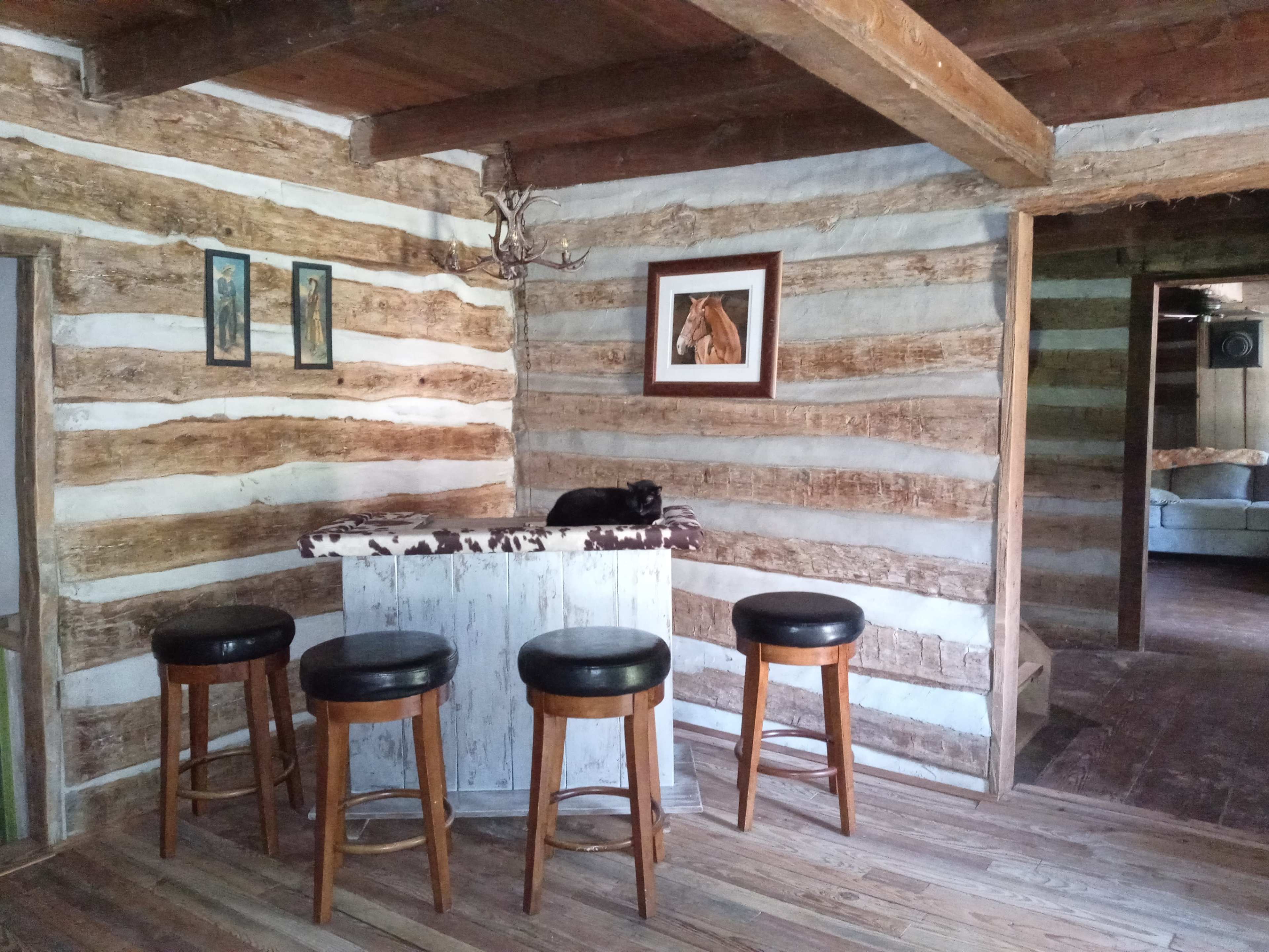 The image shows a rustic interior of a cabin with log walls, a bar counter, and four wooden stools, along with framed pictures and a black cat resting on the counter.