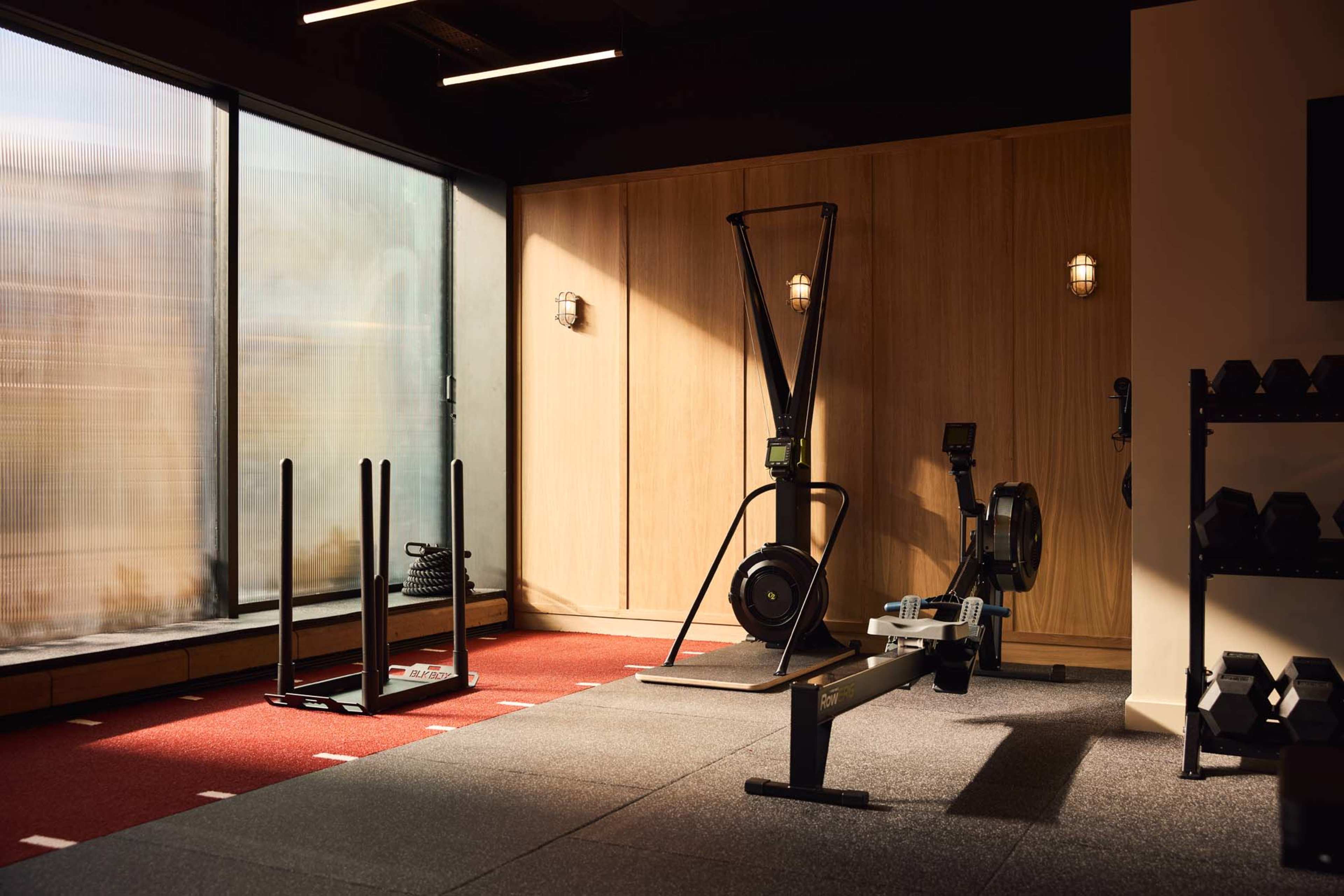 The image shows a modern gym interior with fitness equipment including a rowing machine, a sled push, and dumbbells arranged on a rack, bathed in natural light from large windows.