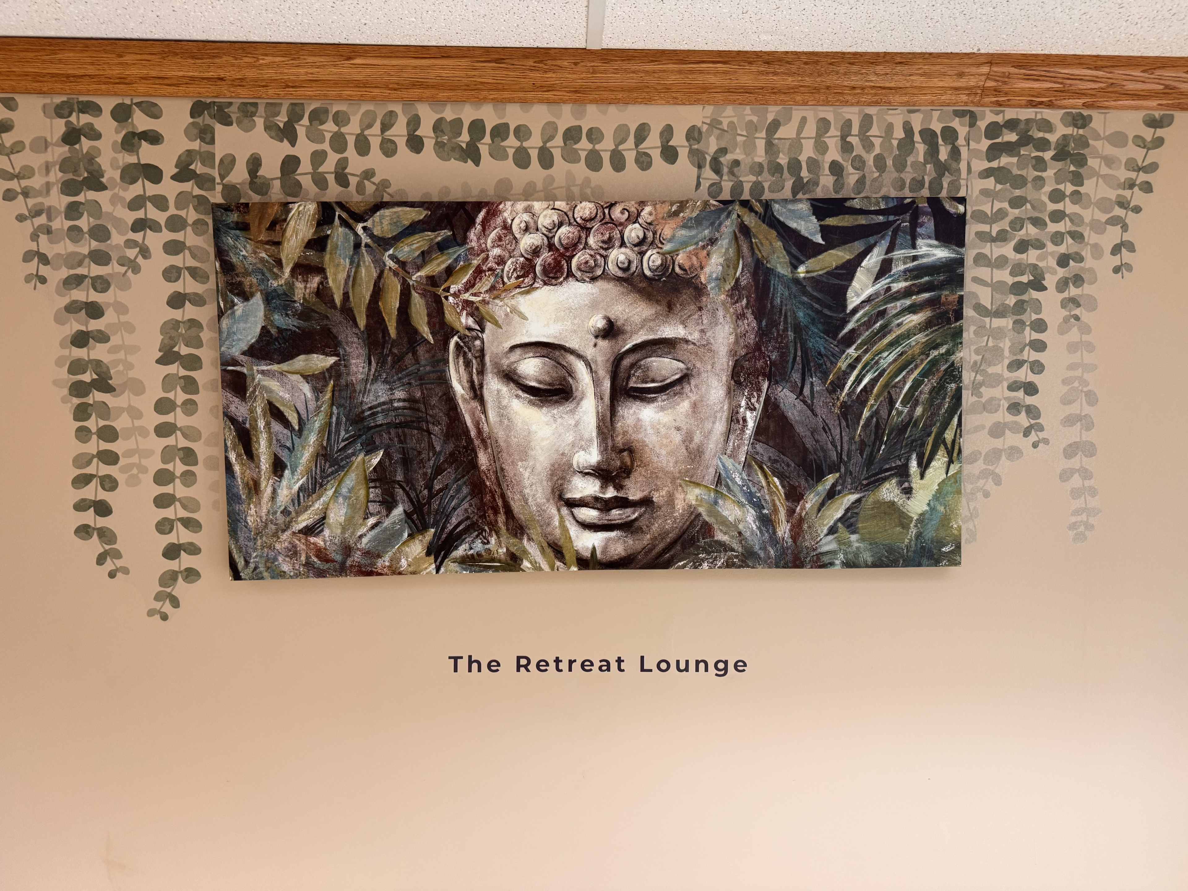 Beautiful West Suburb Studio Image in Proviso Township, Westchester, IL