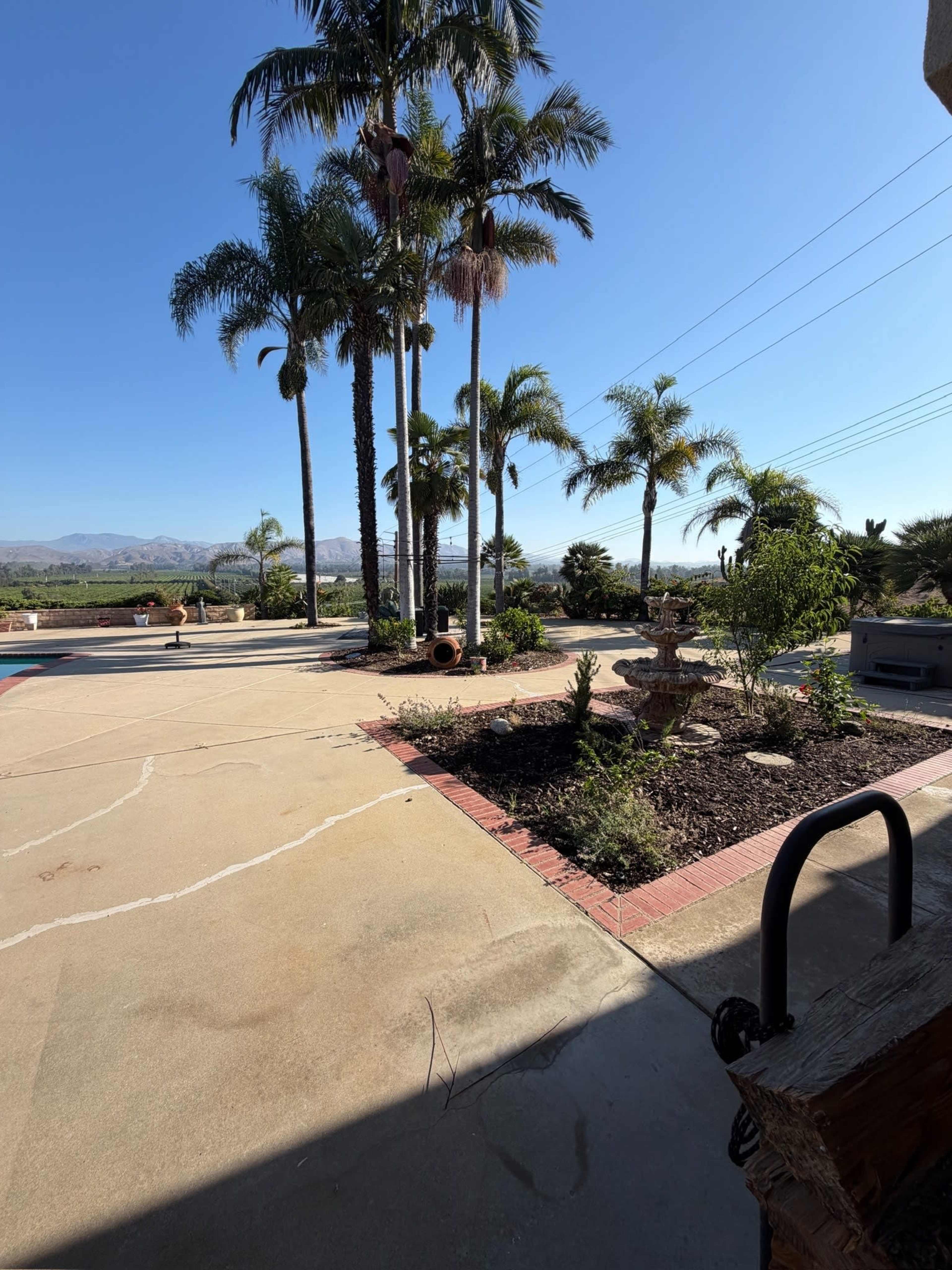 The image shows a landscaped area with several tall palm trees, a patio, and visible mountains in the background under a clear blue sky.