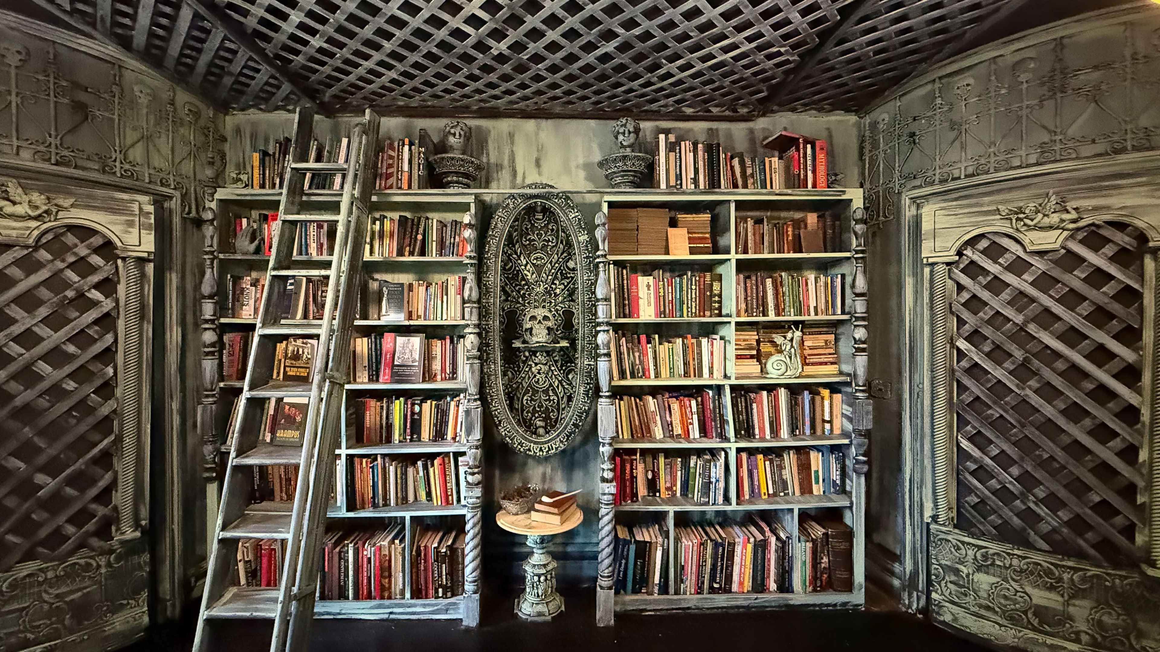 The image shows a dimly lit room with ornate bookshelves filled with books, a decorative mirror on the wall, and a wooden ladder leaning against one of the shelves.