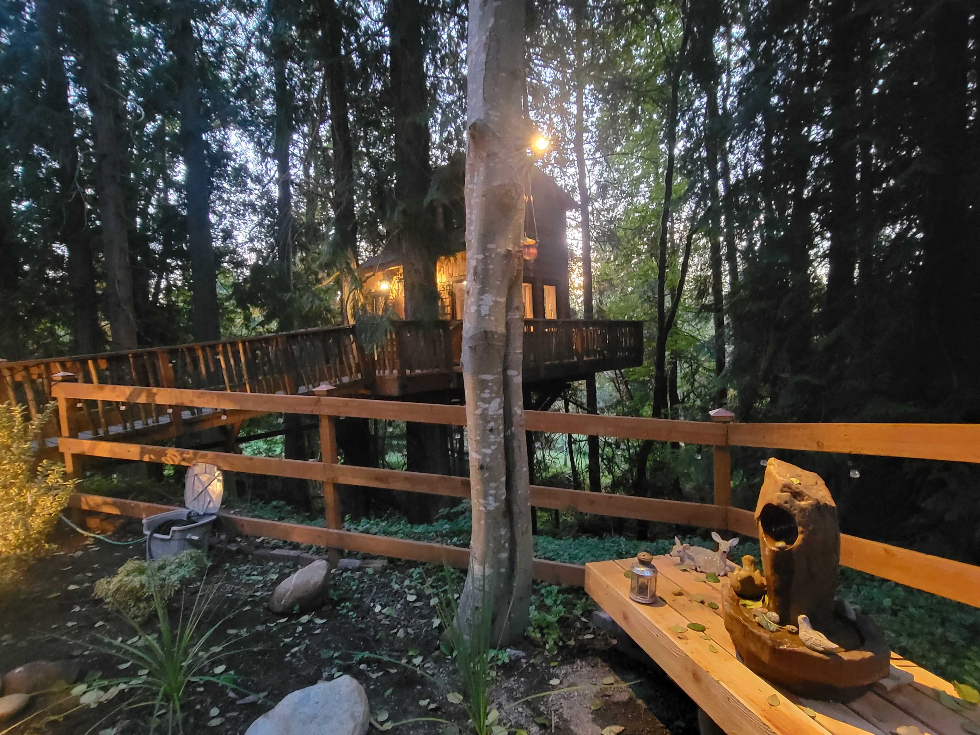 A wooden decked treehouse is illuminated among tall trees, surrounded by a wooden fence and a landscaped area with stones and a bench.