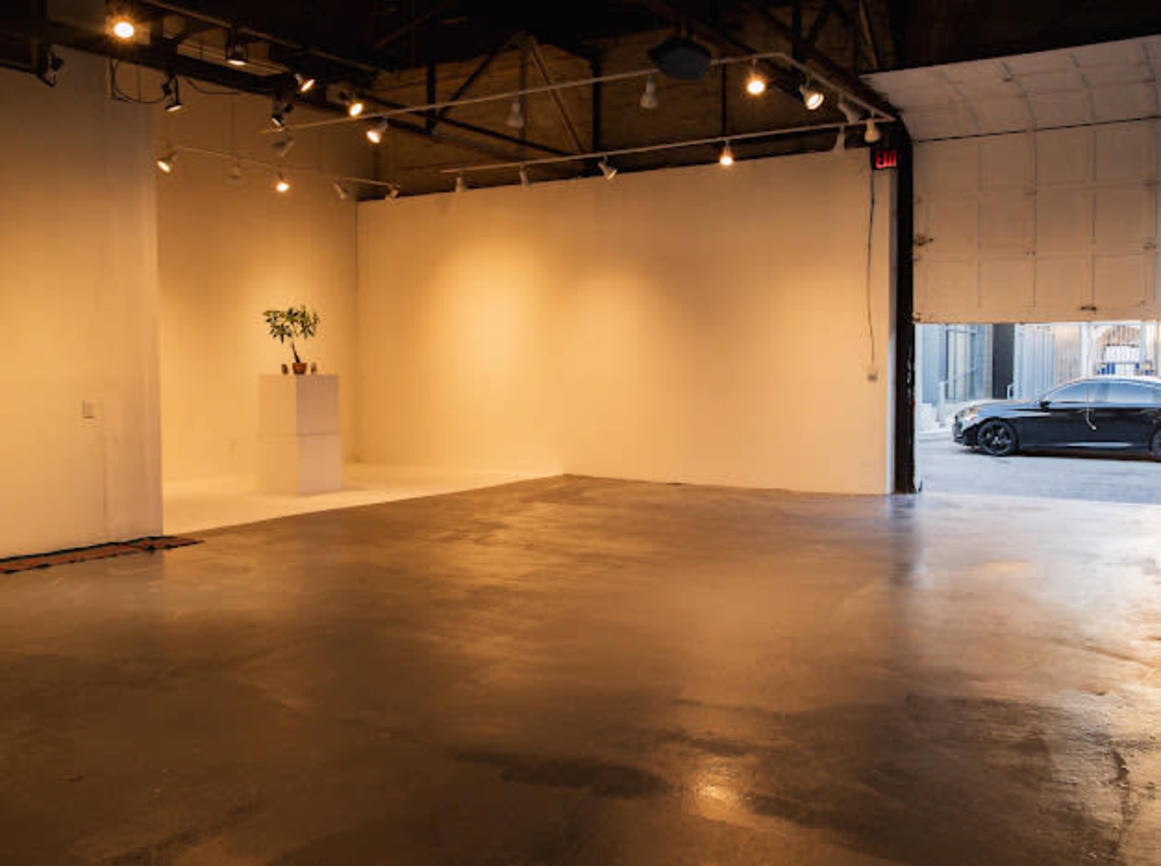 The image shows an empty gallery space with smooth gray flooring, white walls, and a single plant displayed on a pedestal.
