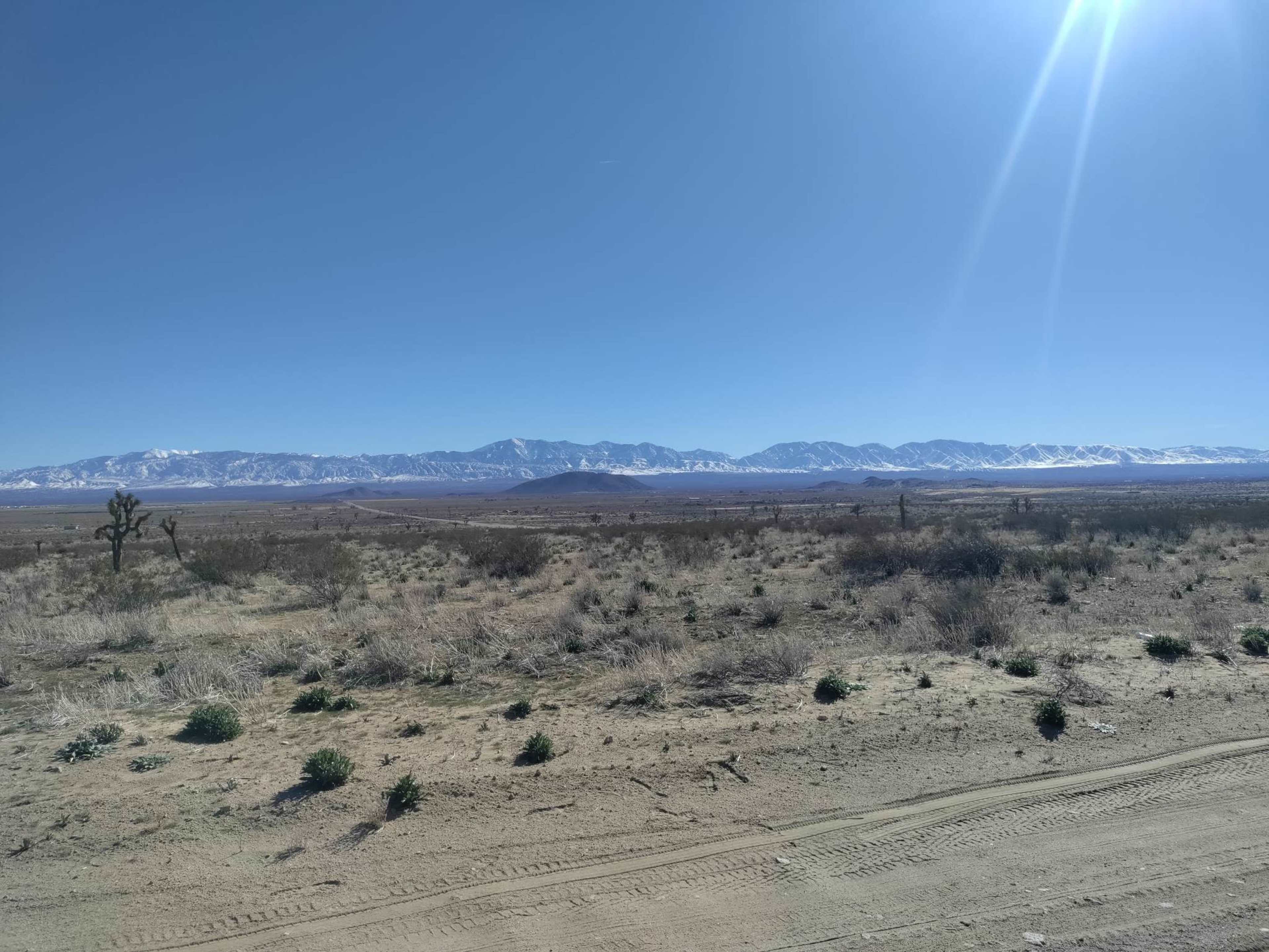 A wide landscape features a desert terrain with sparse vegetation and distant snow-capped mountains under a clear blue sky.