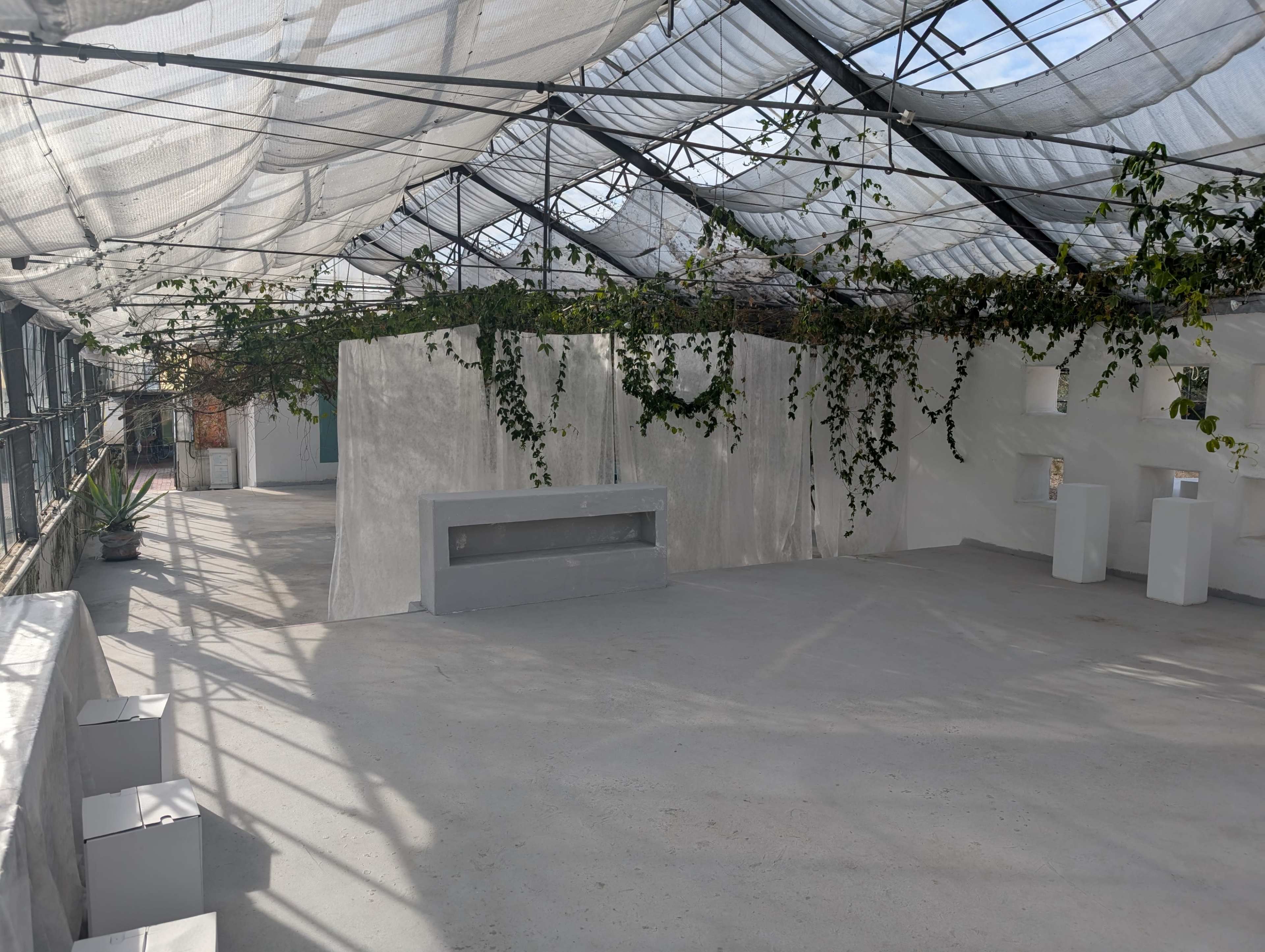 Altes Gewächshaus als Fotostudio im Grünen Bild in , Recklinghausen, 