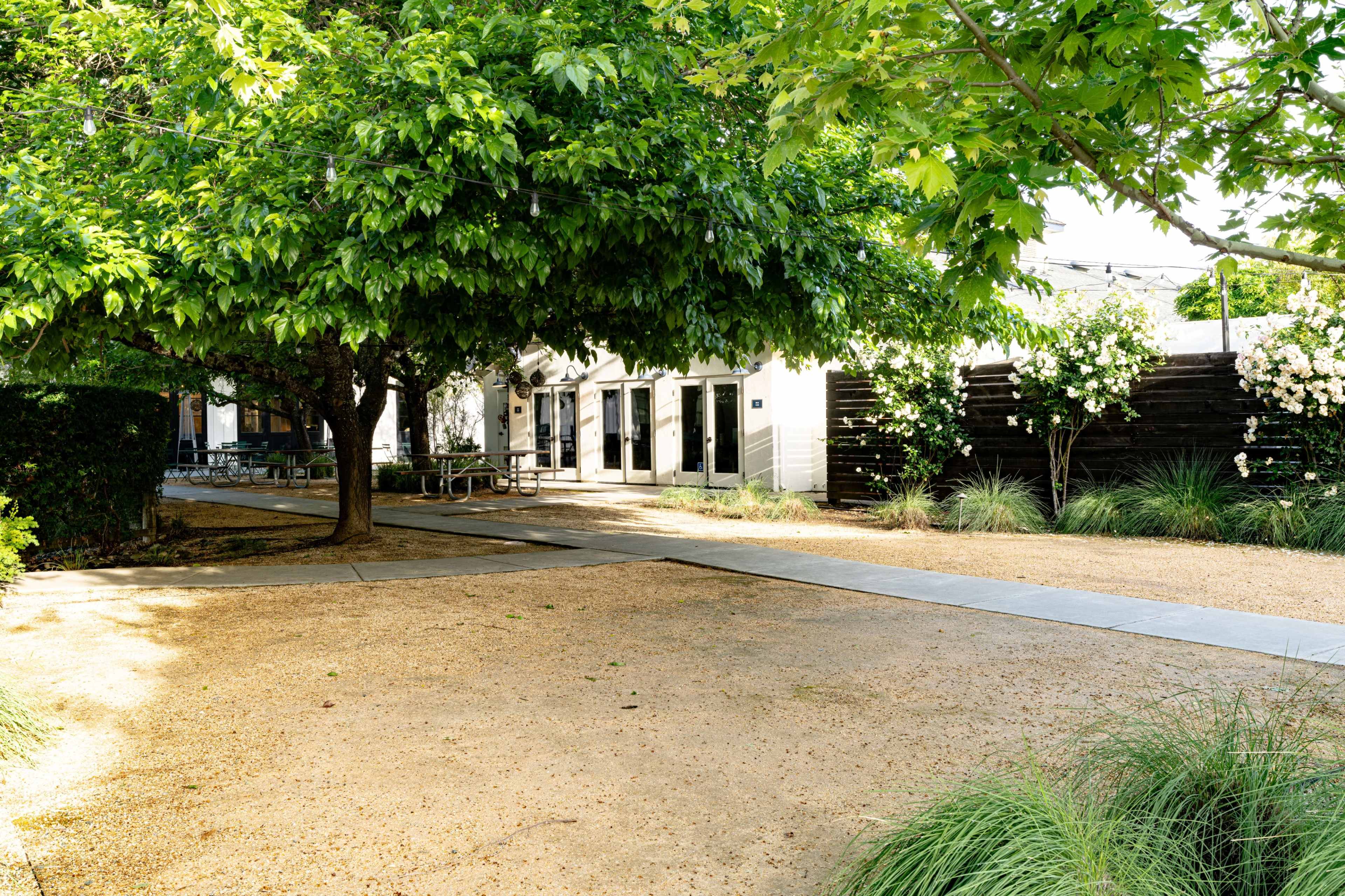 A tree provides shade over a gravel pathway that leads to a building with multiple doorways.