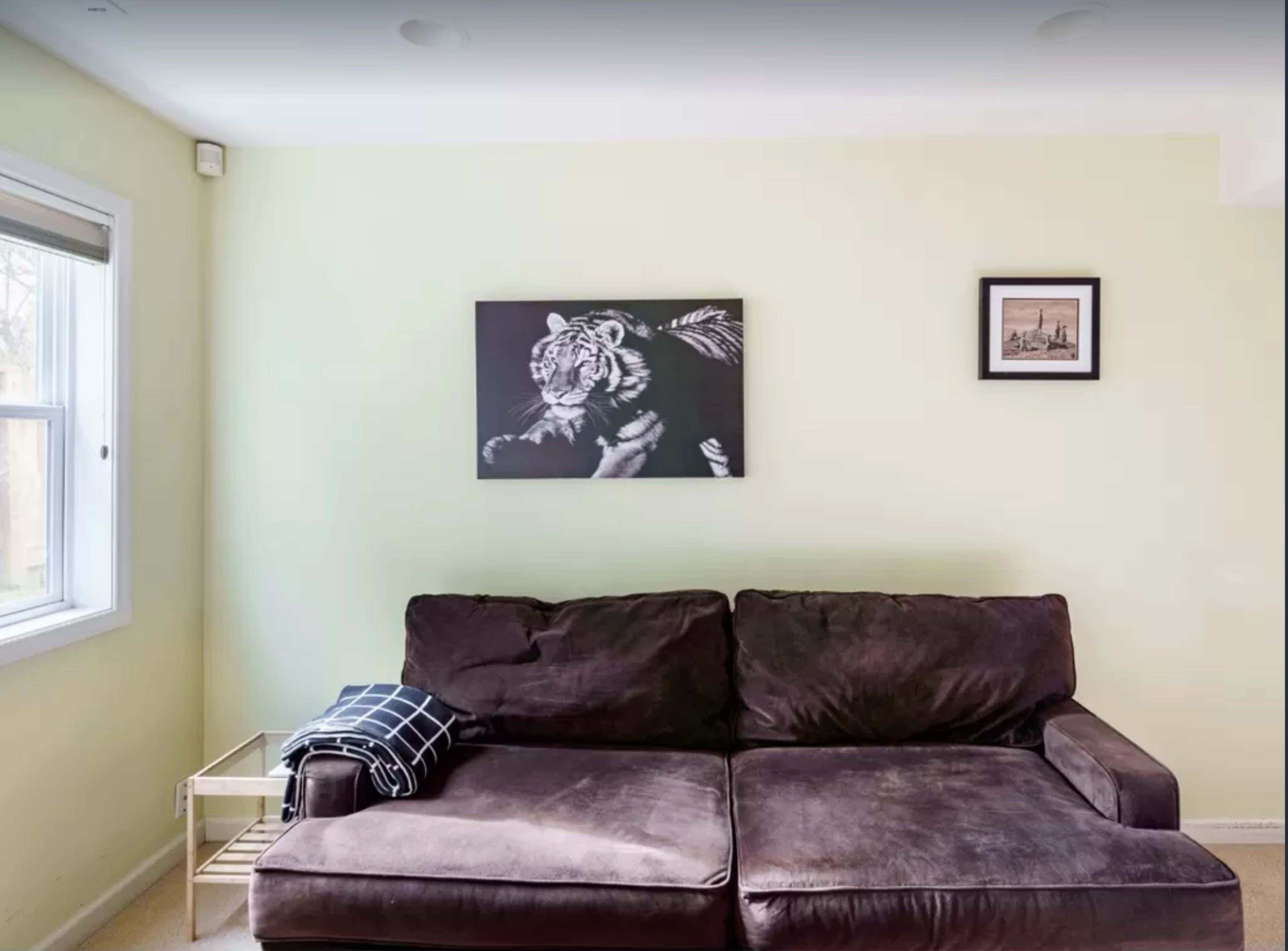 The image shows a living room with a dark brown sofa positioned against a light green wall, featuring a black-and-white tiger picture above it and a small framed photo on the side.