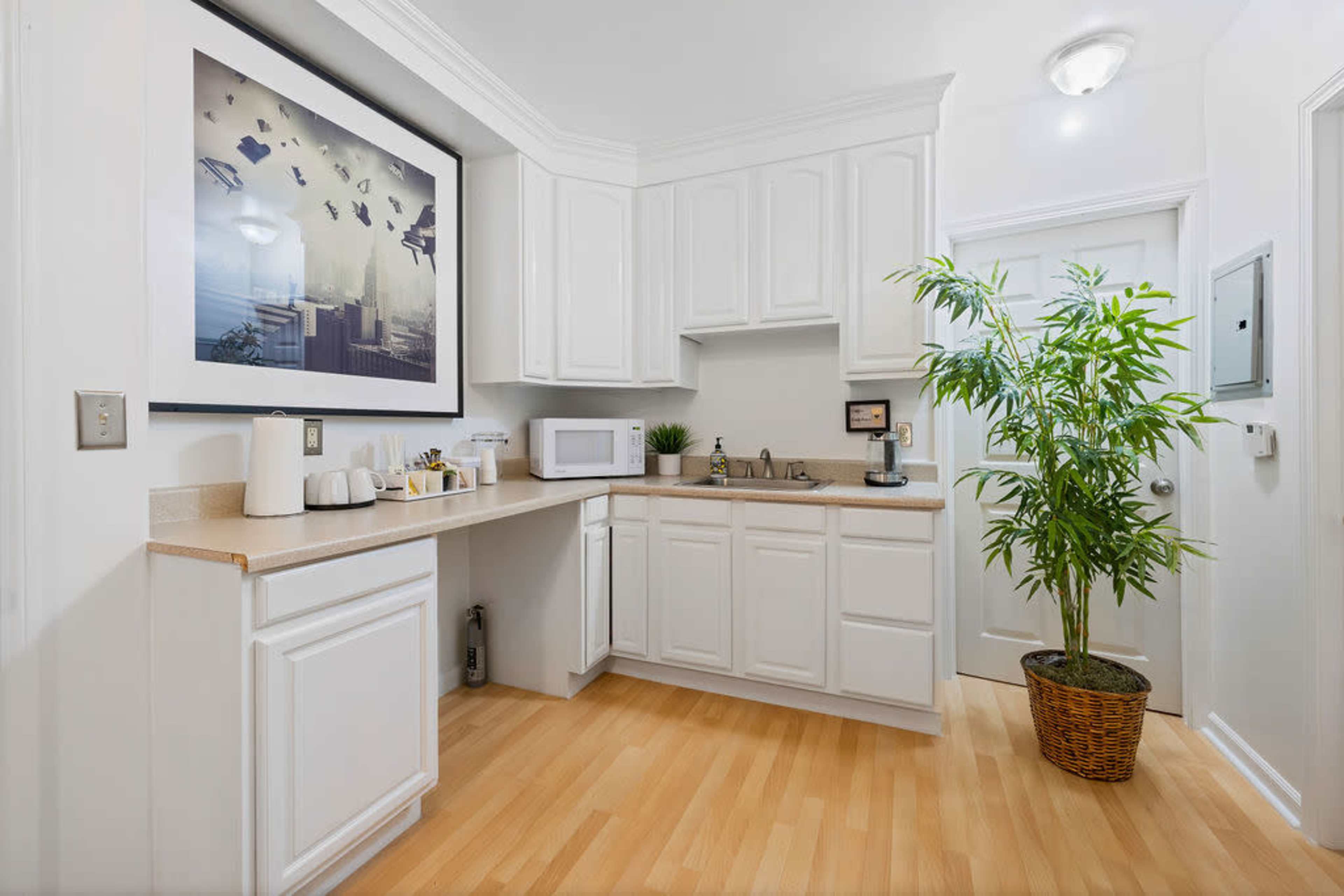 A small kitchen features white cabinetry, a countertop with appliances, and a potted plant in the corner.