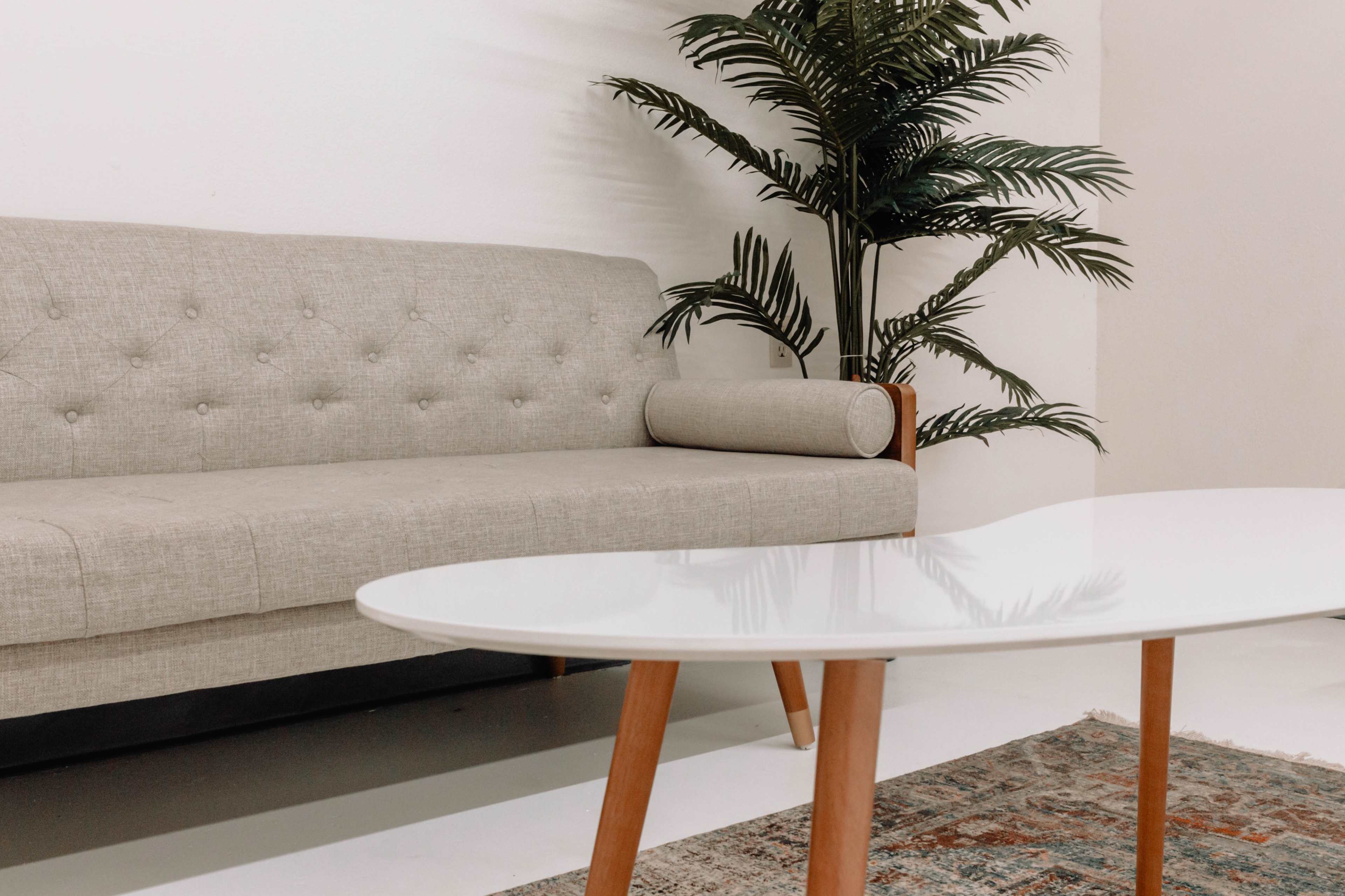 A light gray sofa with a round cushion sits beside a potted palm, accompanied by a white coffee table on a patterned rug.