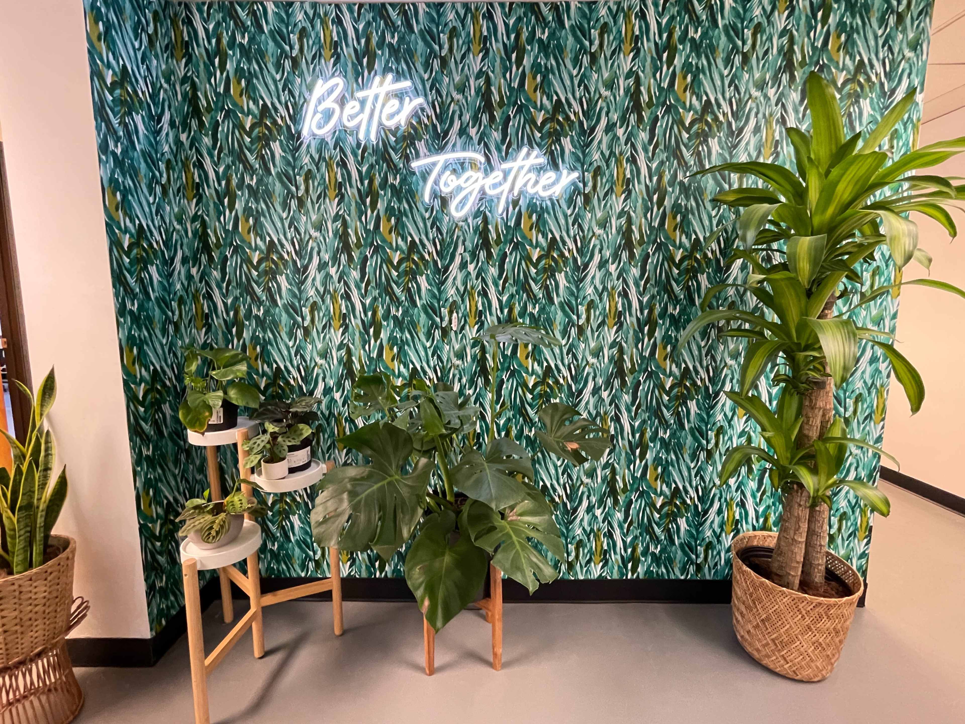 A neon sign reading "Better Together" is displayed on a textured green wall with various indoor plants arranged on wooden stands.