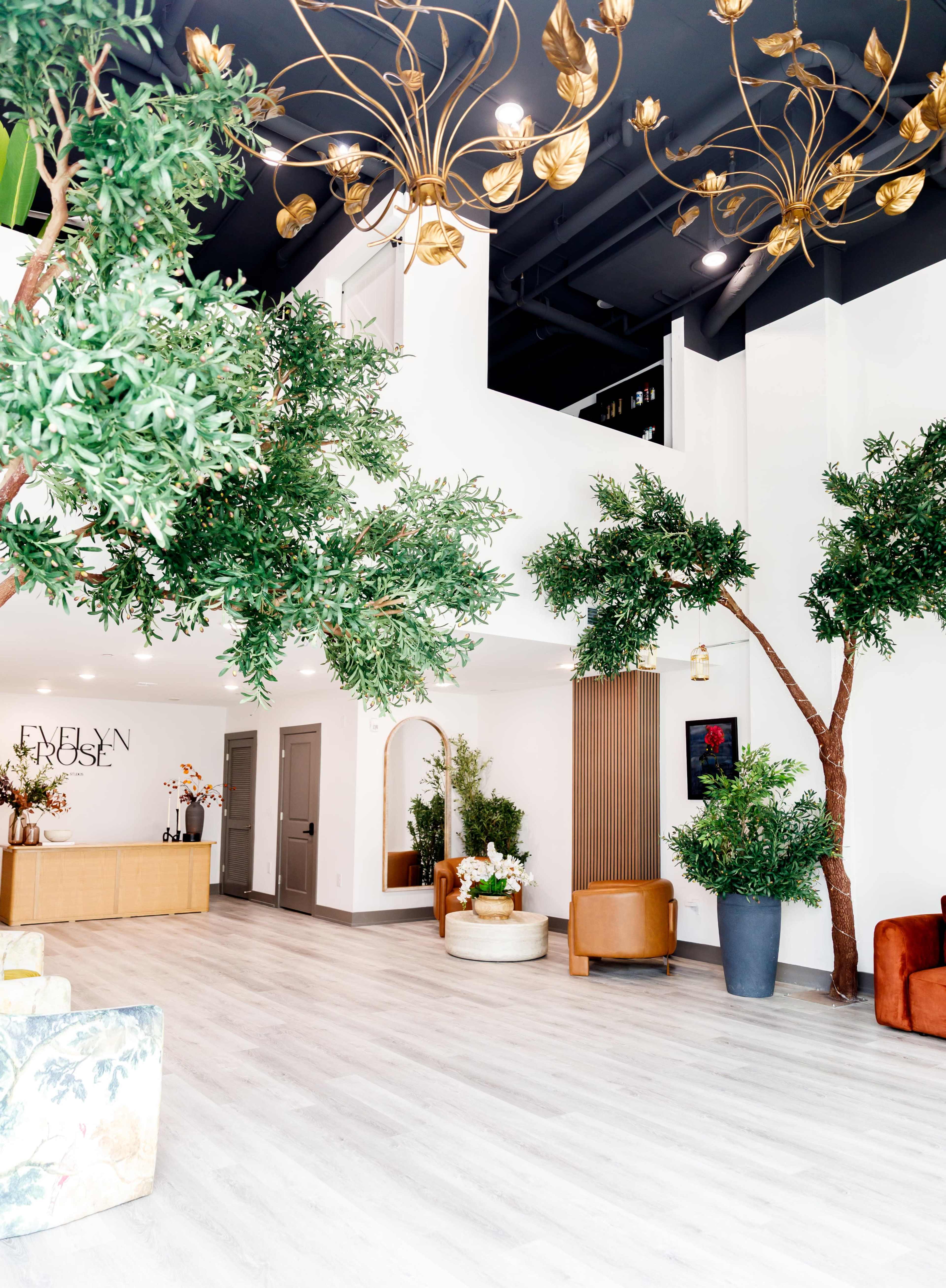 Lush, Light-Filled Creative Studio with Giant Olive Trees & Golden Hour Glow Image in Downtown Atlanta, Atlanta, GA