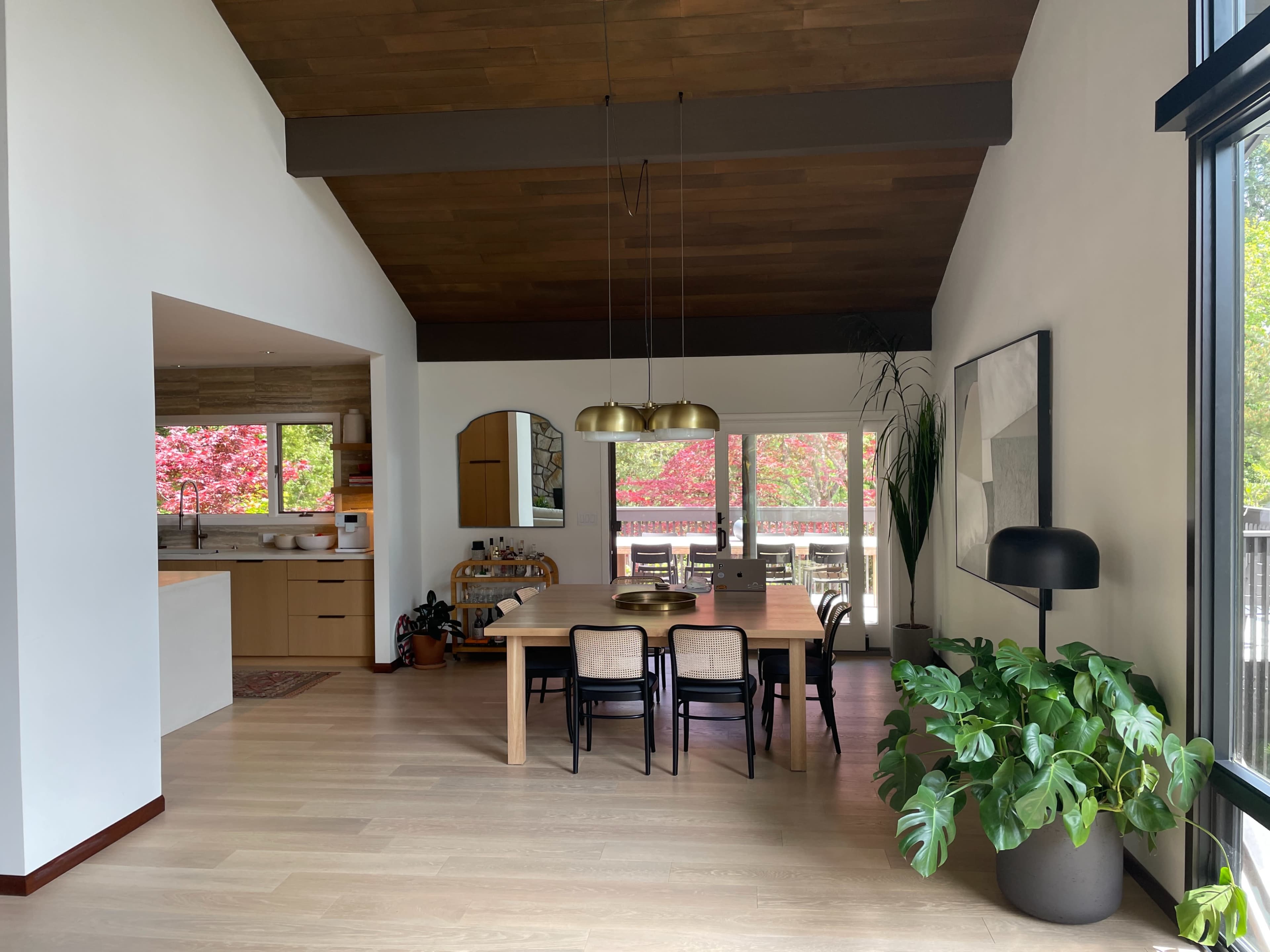 A modern interior dining area with a wooden table, several chairs, a large pendant light fixture, and a leafy plant beside a window leading to an outdoor view.