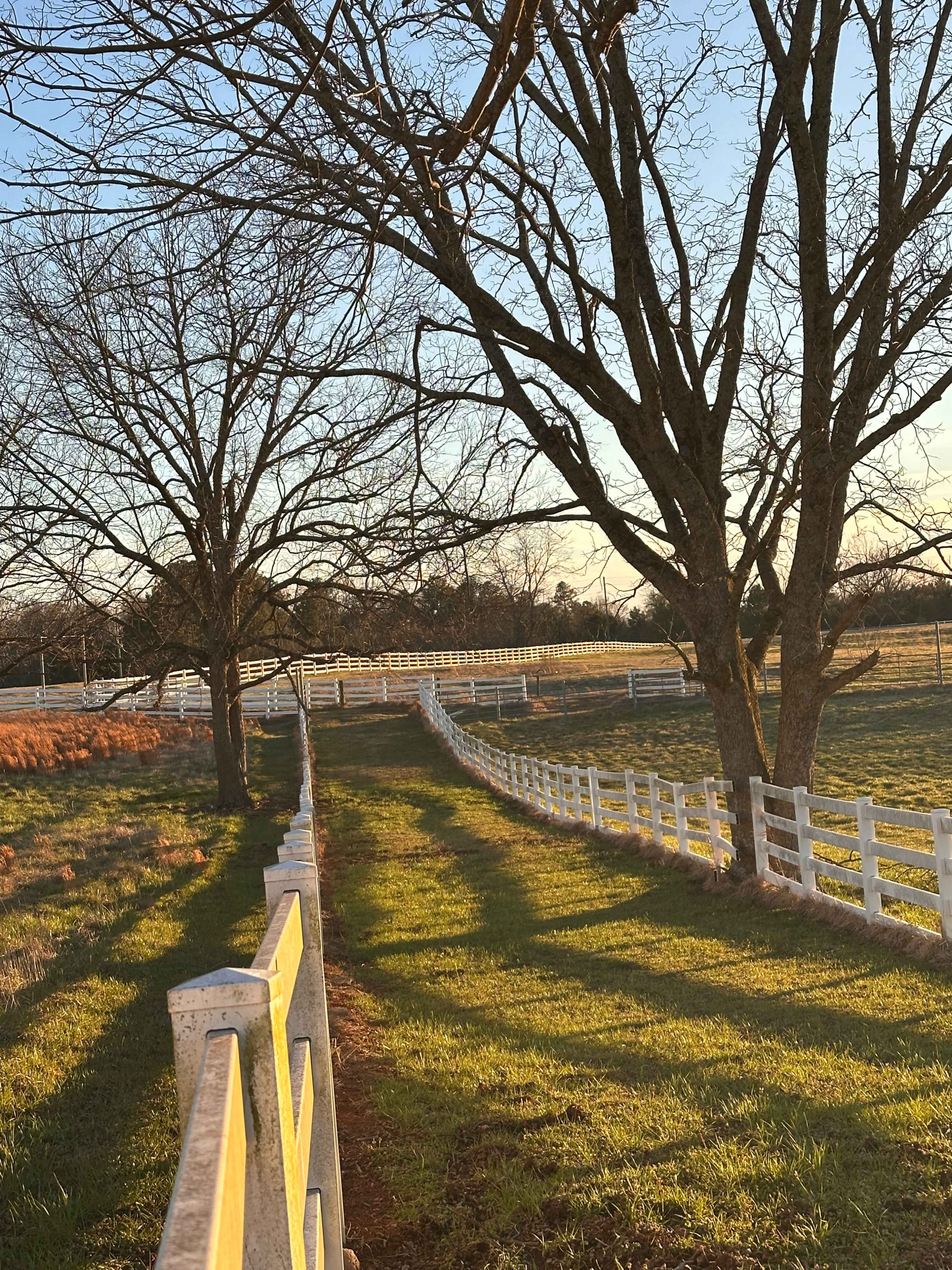 Capture timeless moments on a scenic farm and stable with natural open spaces, paths, mature trees, and sunsets Image in , Winder, GA
