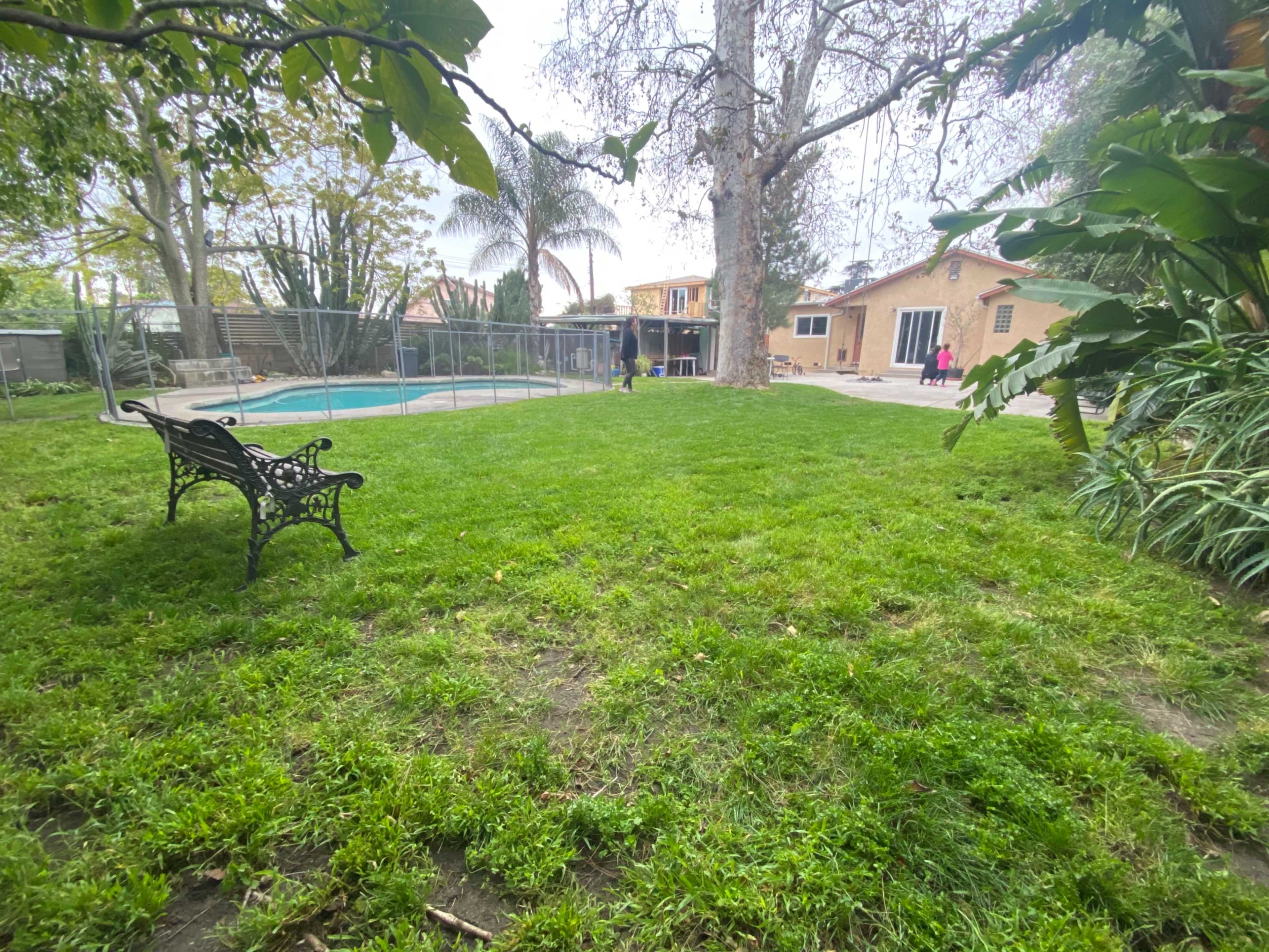 A grassy backyard features a bench, a swimming pool enclosed by a fence, and a home in the background.