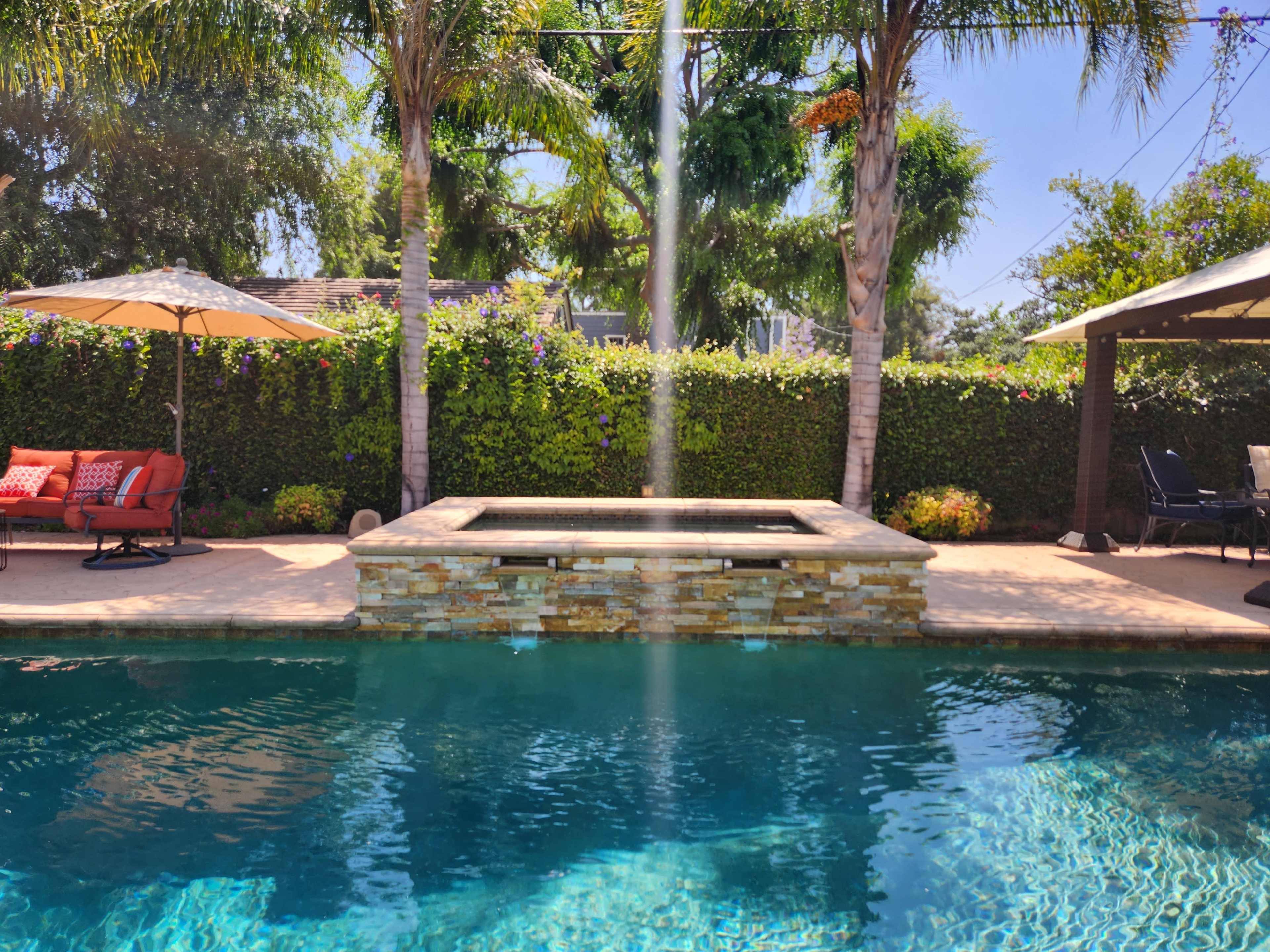 The image shows a backyard pool area with a spa, surrounded by palm trees, lounge chairs, and a stone wall.